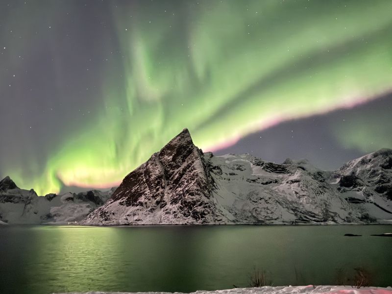 <p>Aurora di gruppo</p>