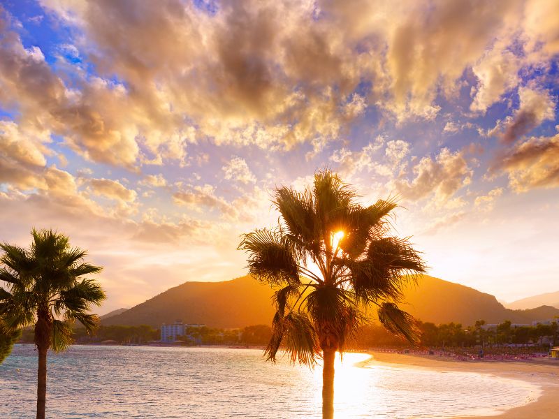 <p>palma, Minorca</p>