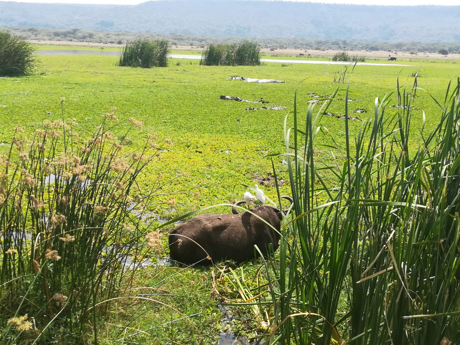 Viaggio in Tanzania