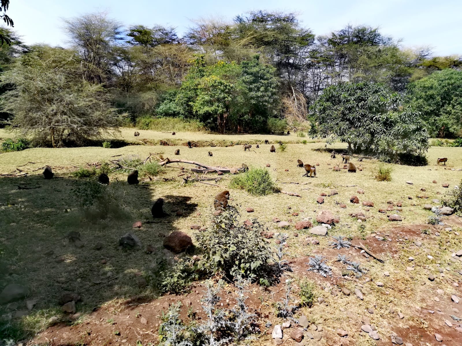Viaggio in Tanzania