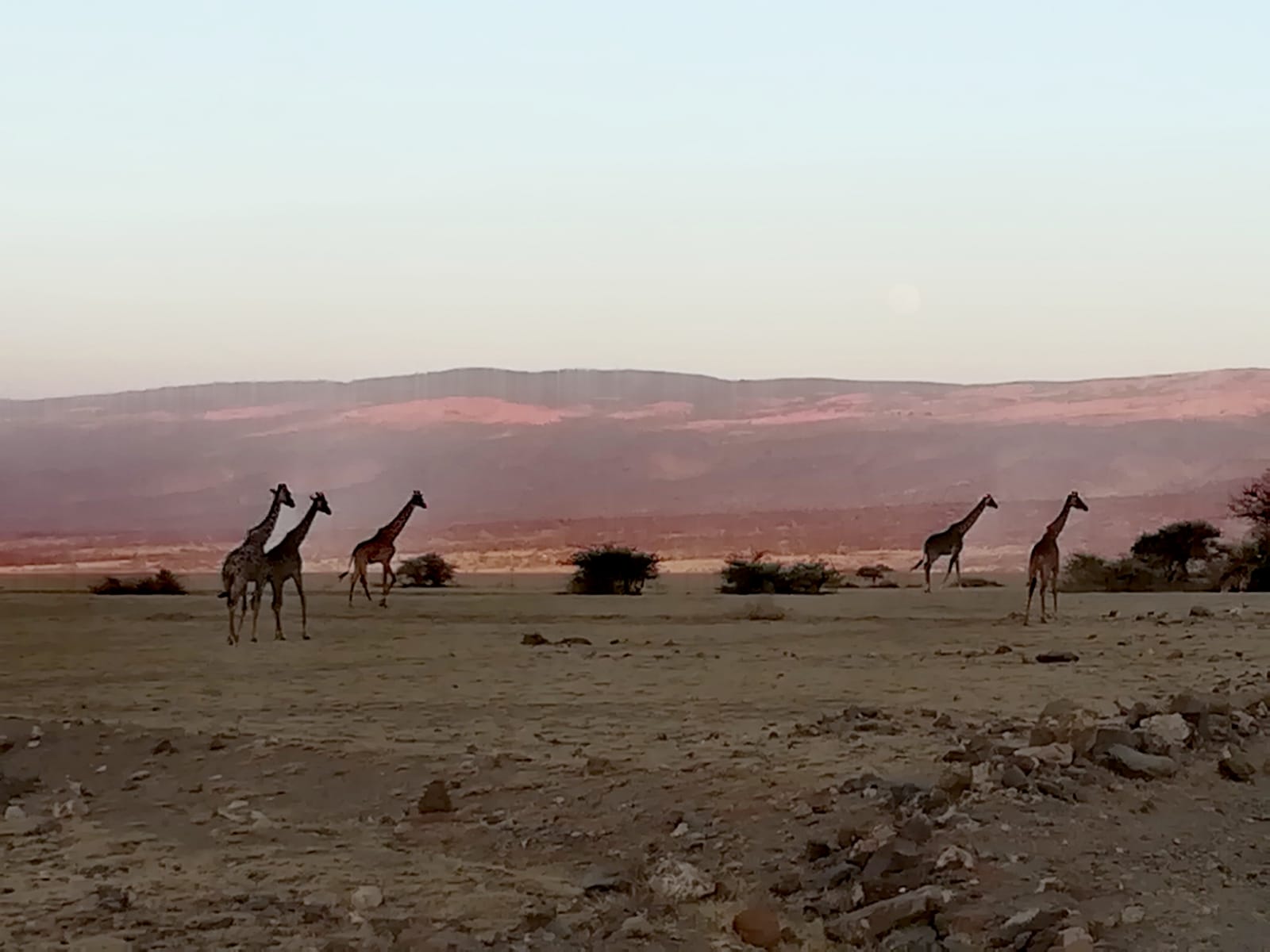 Viaggio in Tanzania