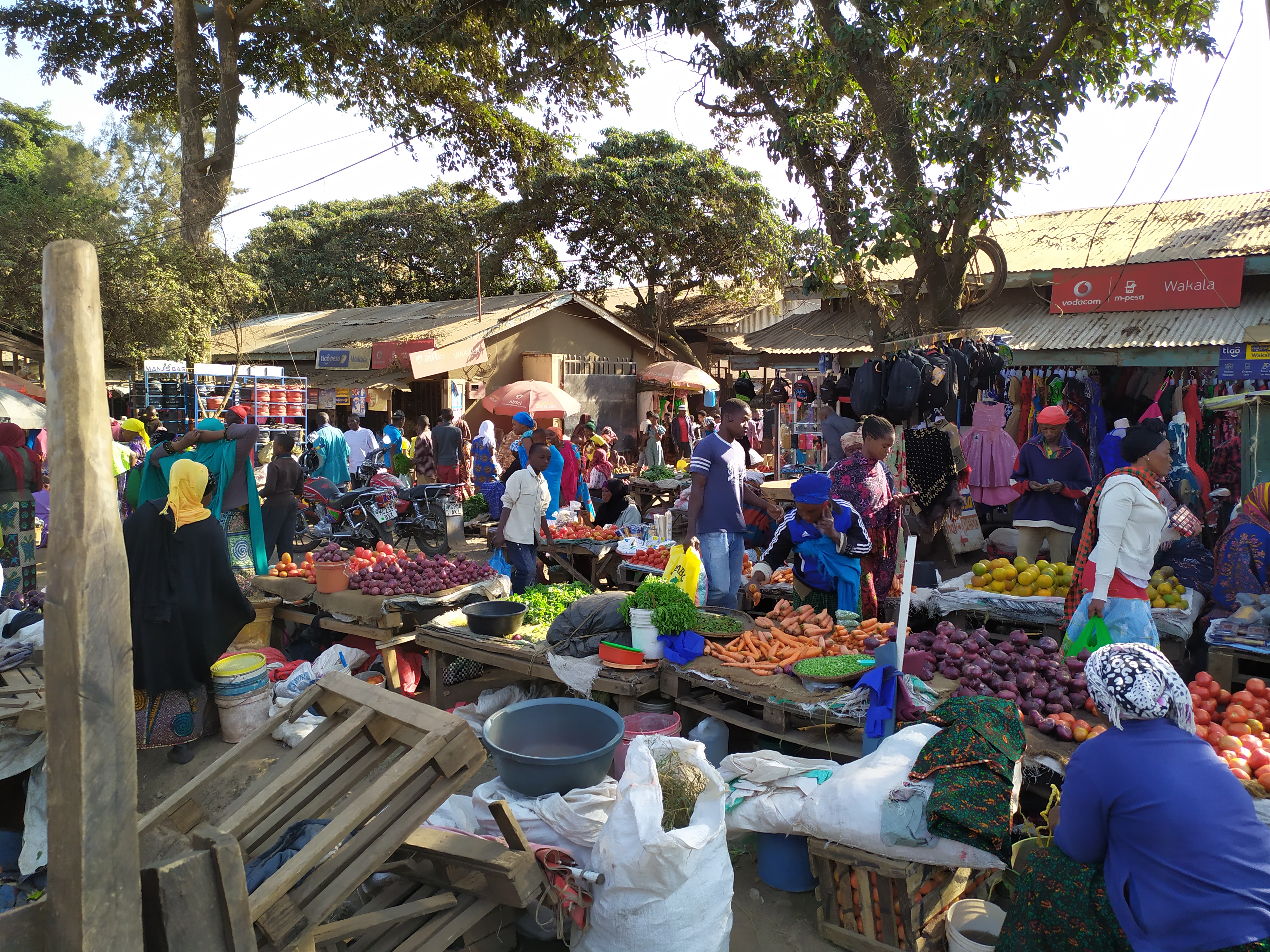 Viaggio in Tanzania