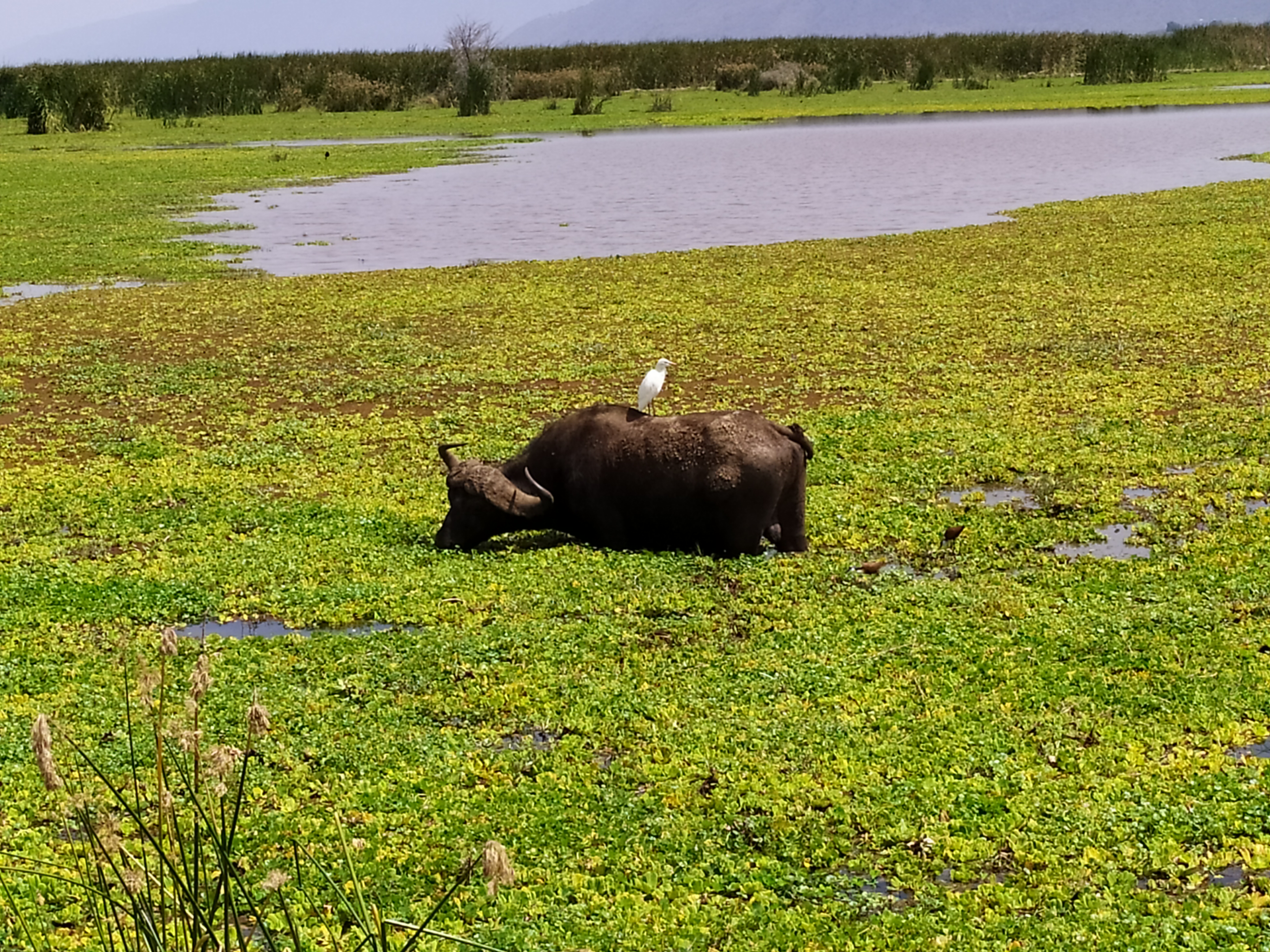 Viaggio in Tanzania