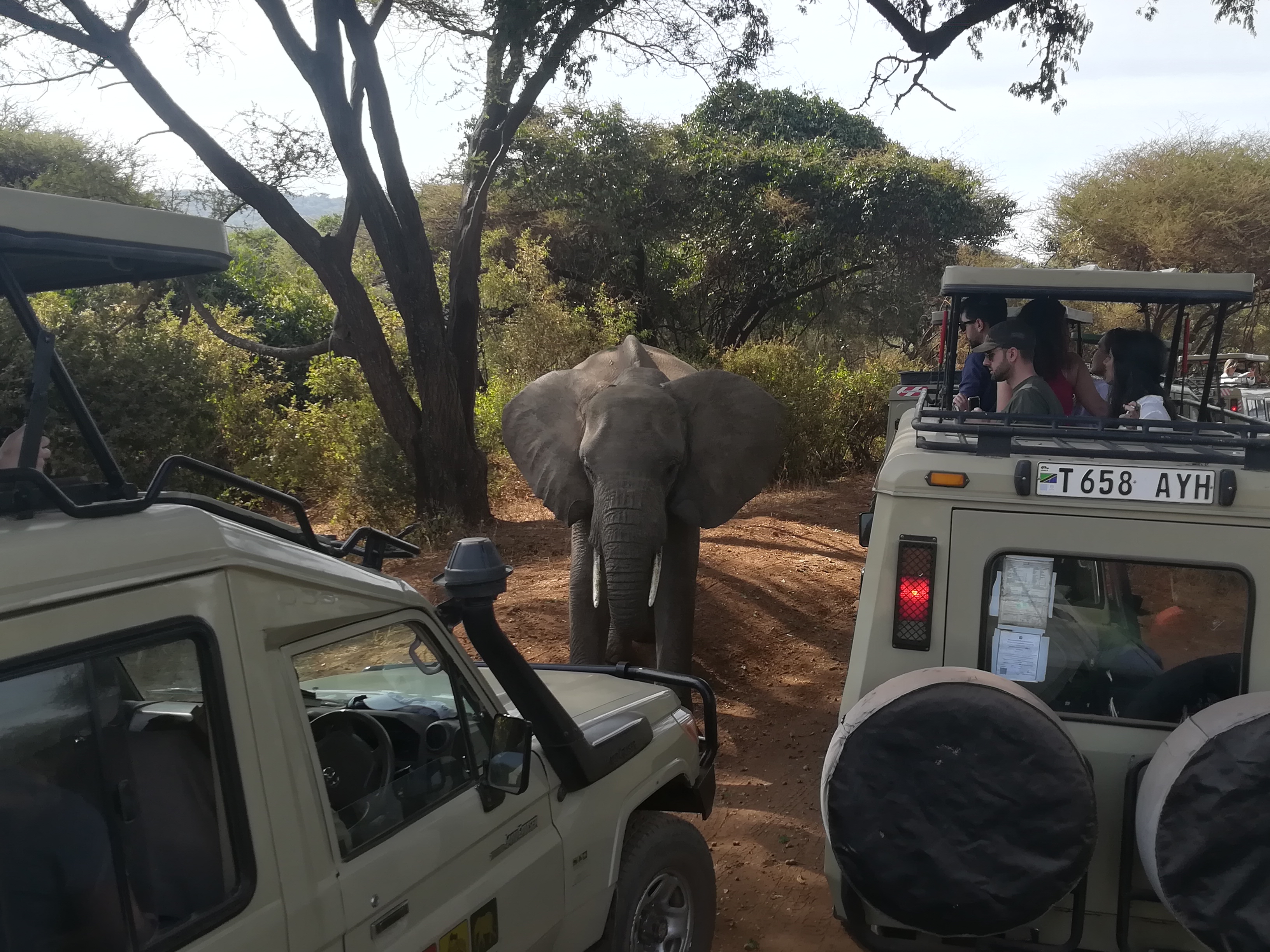Viaggio in Tanzania