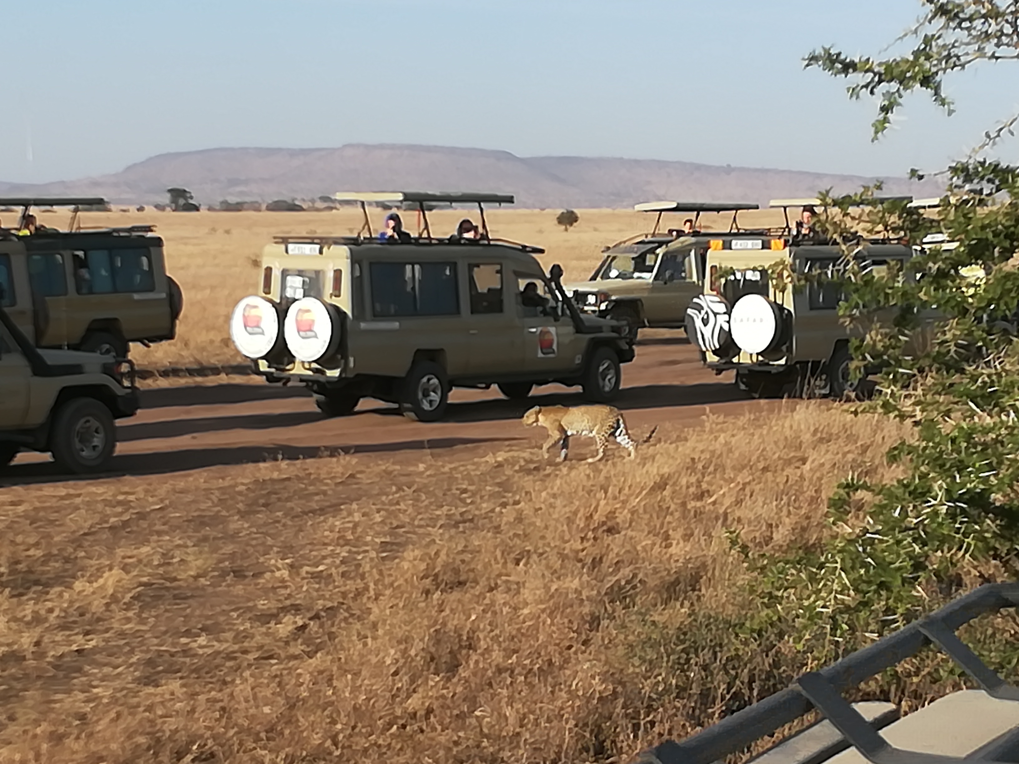 Viaggio in Tanzania