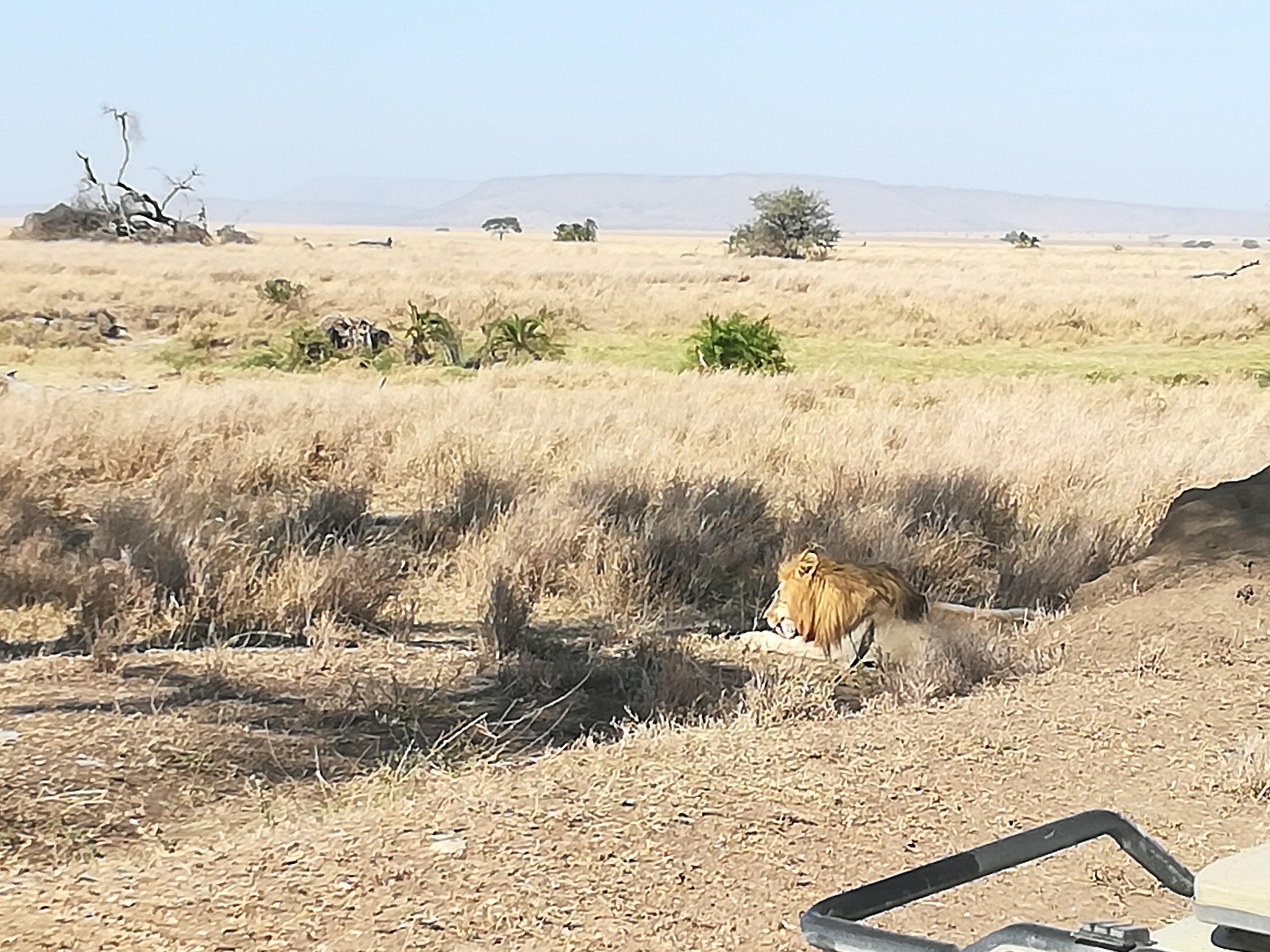 Viaggio in Tanzania