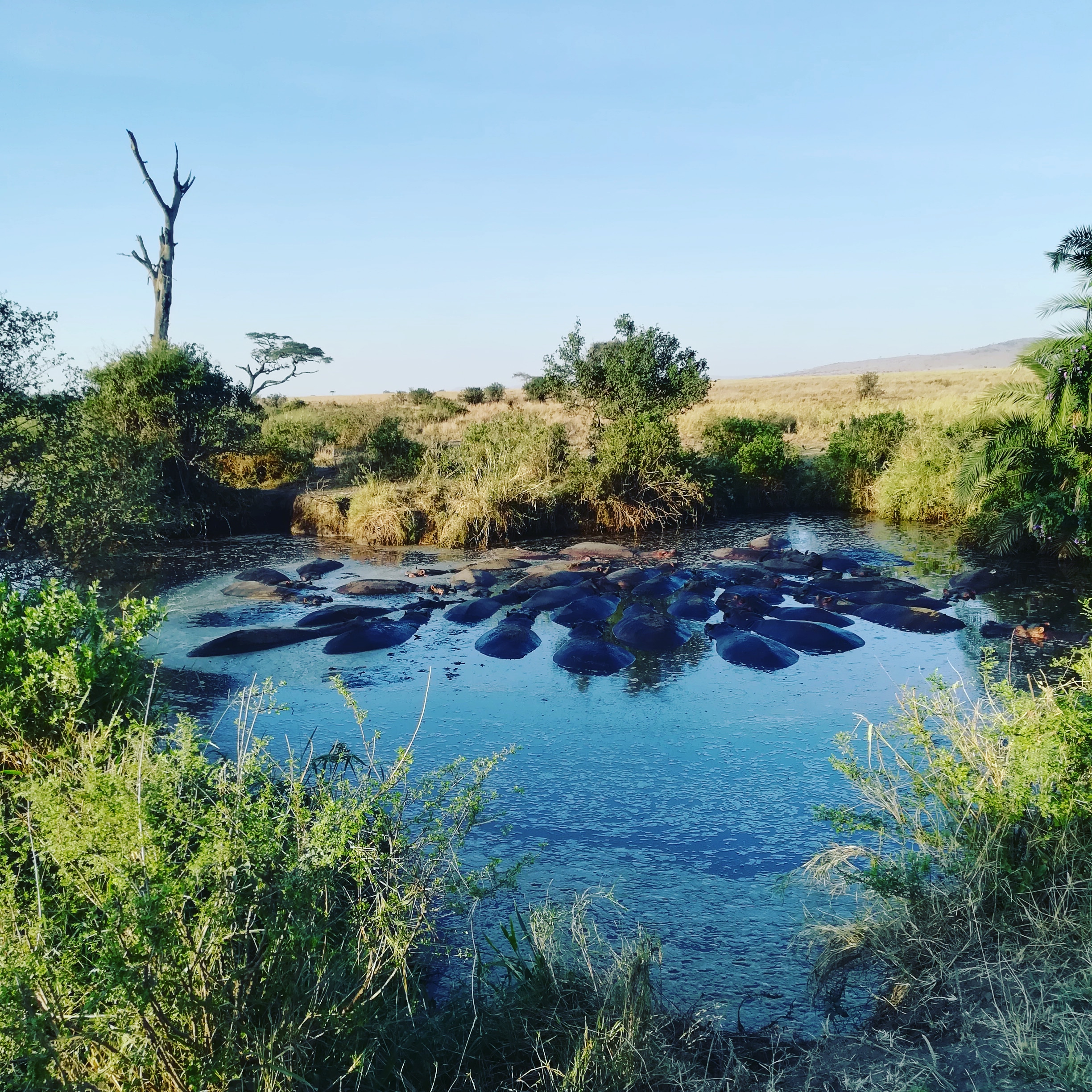 Viaggio in Tanzania