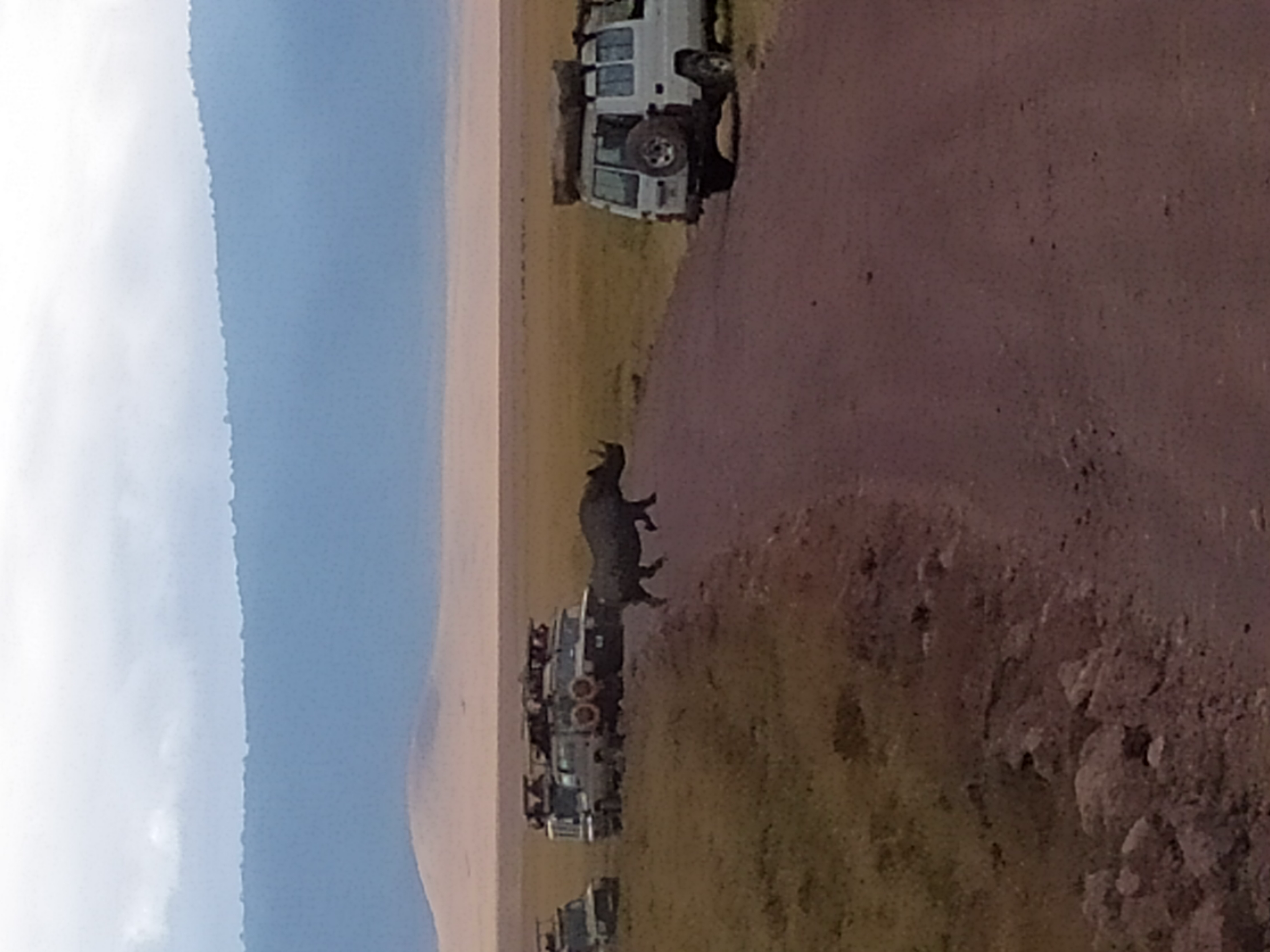 Viaggio in Tanzania