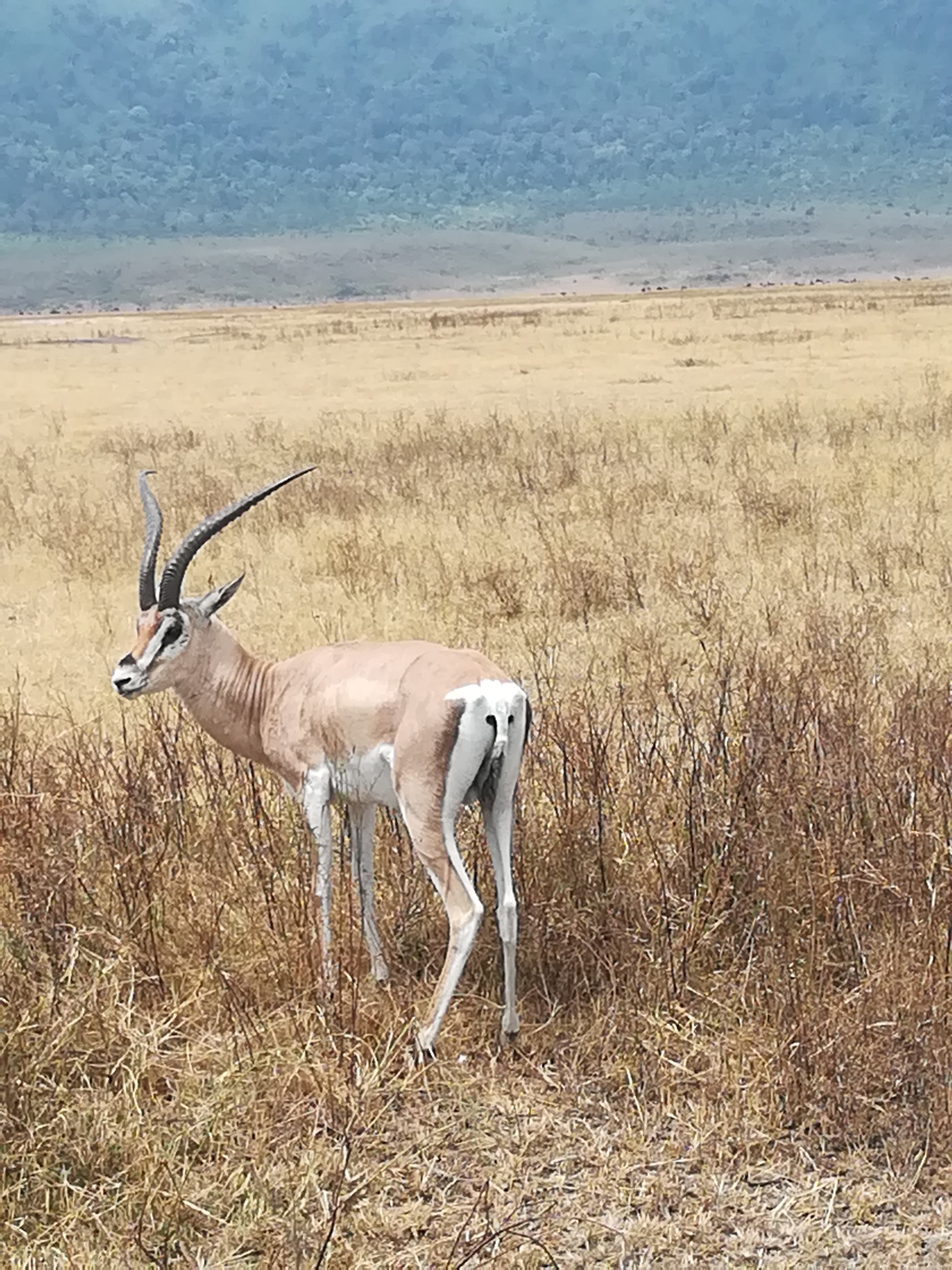 Viaggio in Tanzania