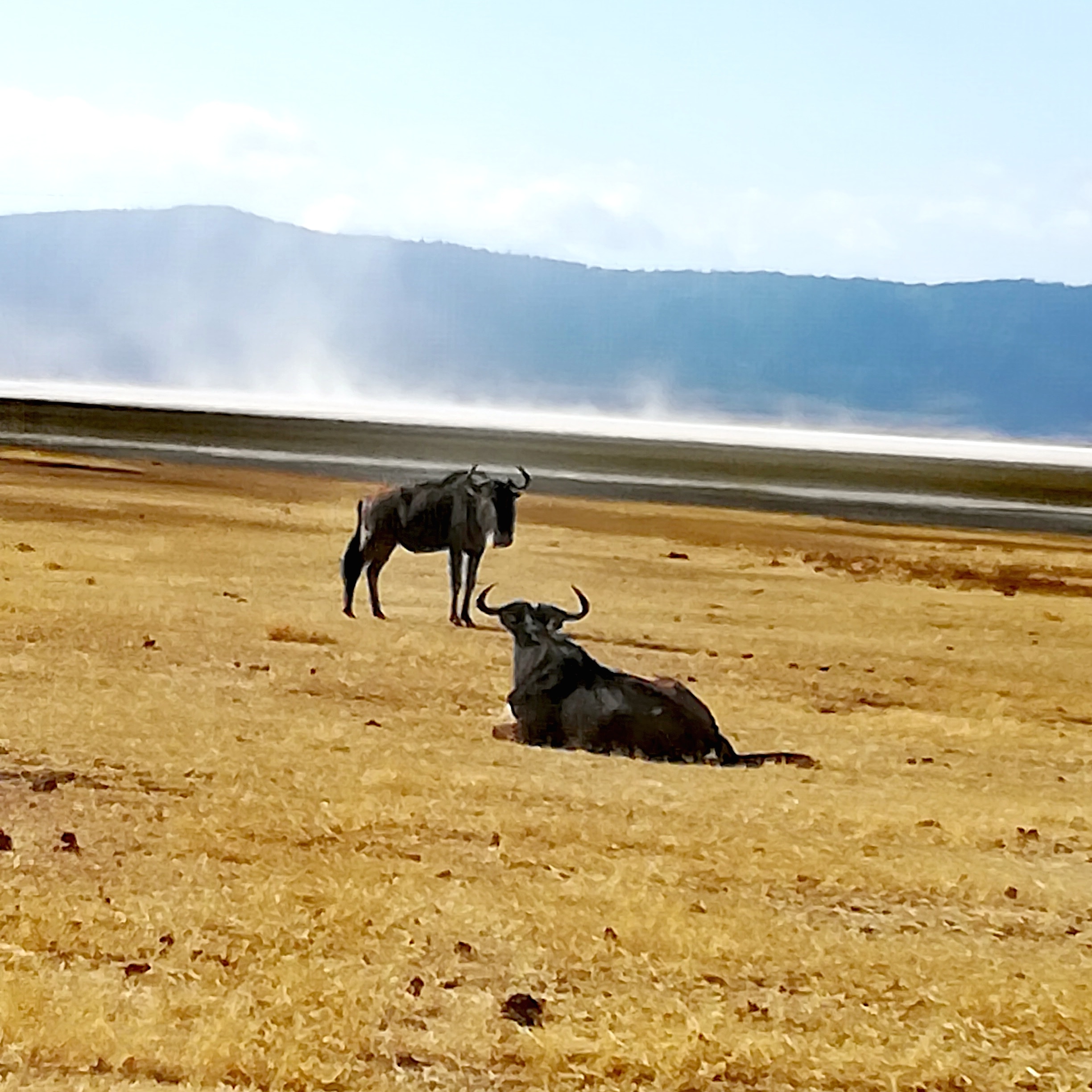 Viaggio in Tanzania