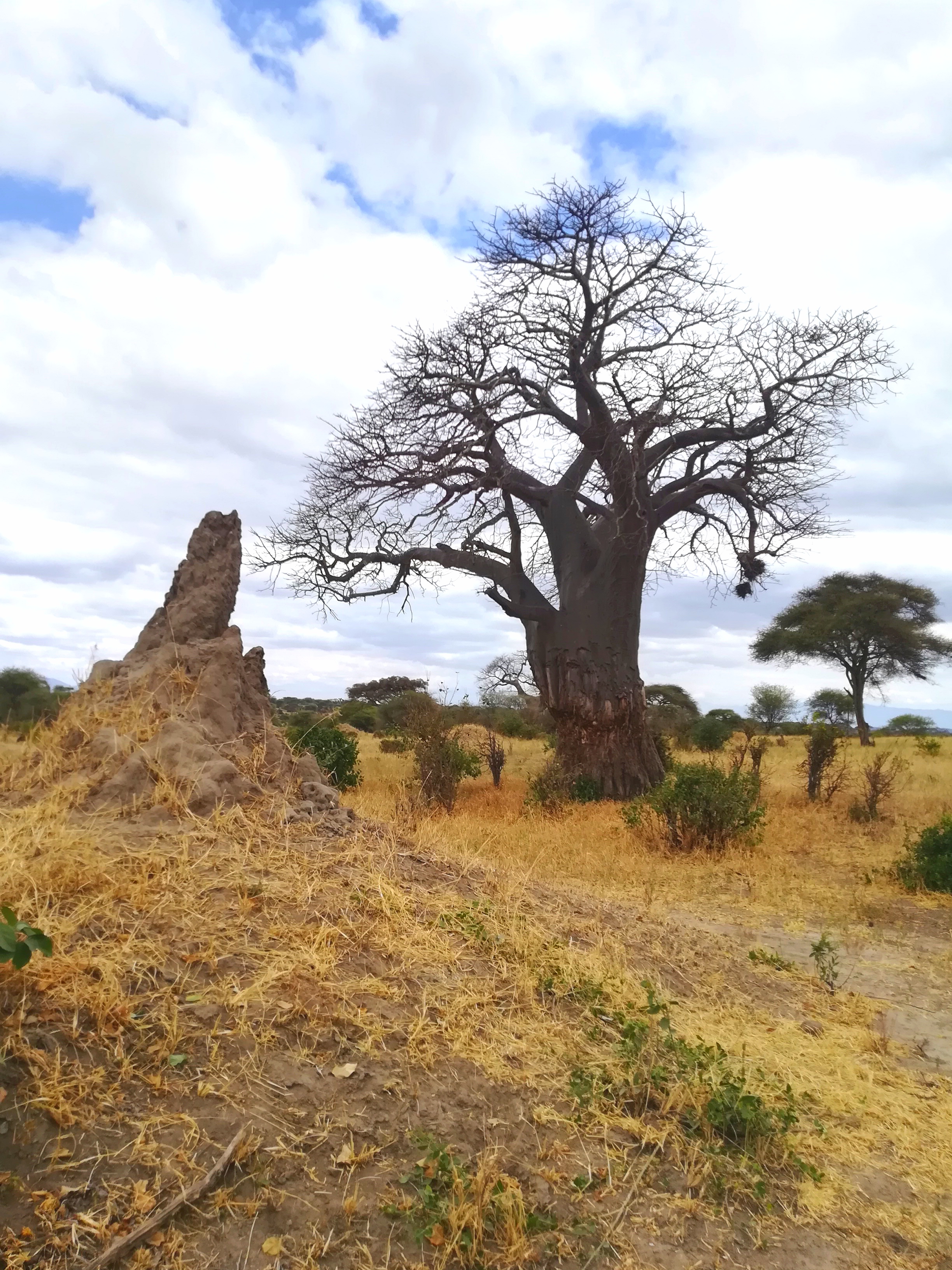 Viaggio in Tanzania