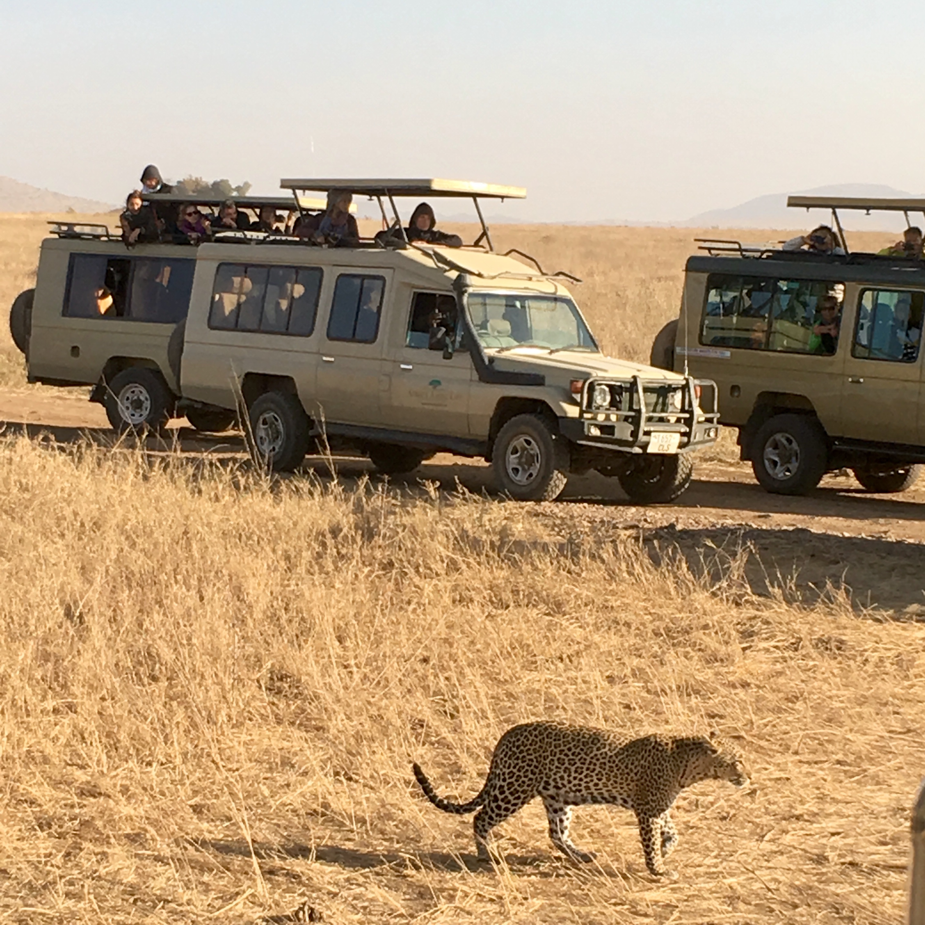 Viaggio in Tanzania