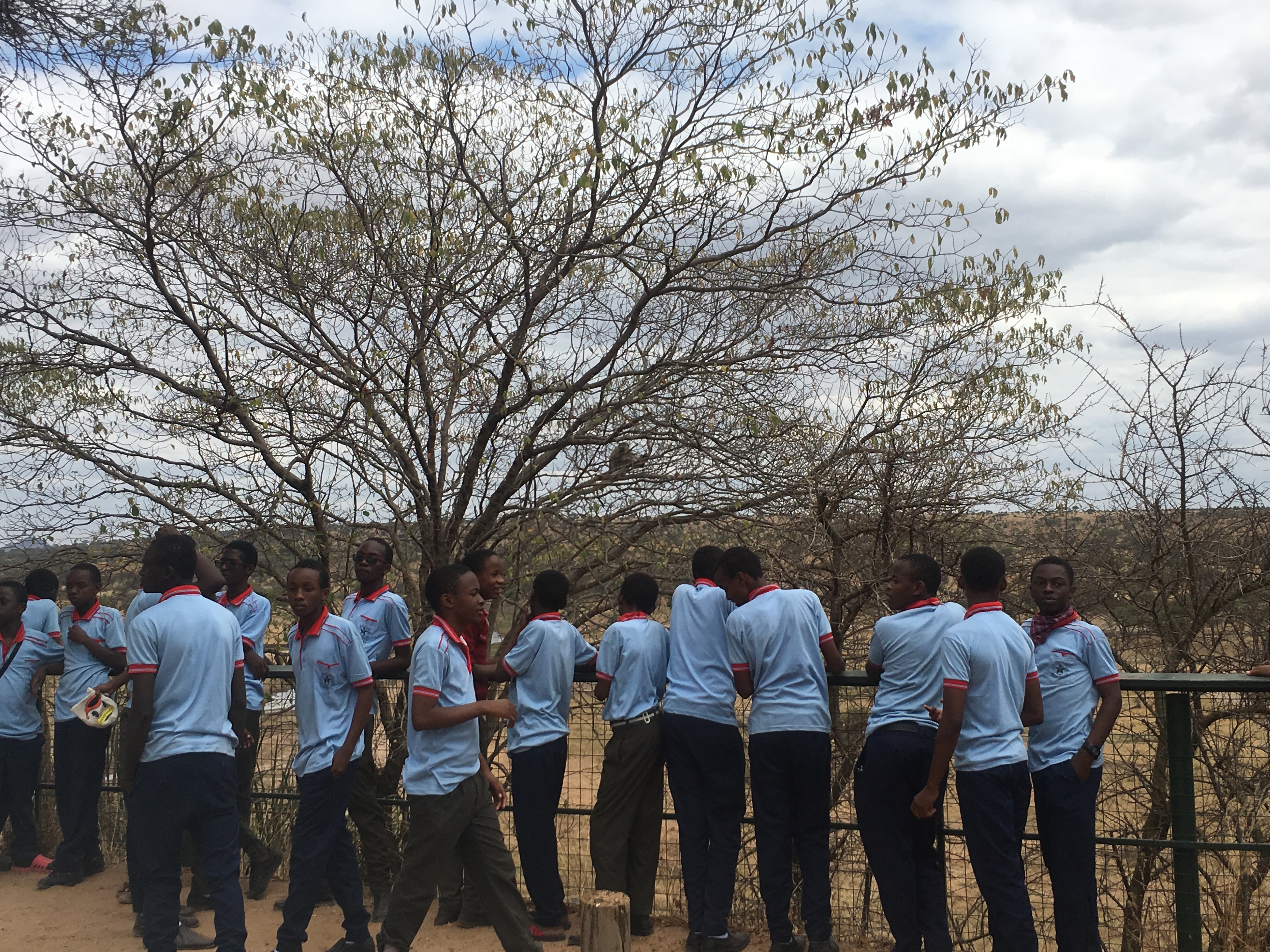 Viaggio in Tanzania