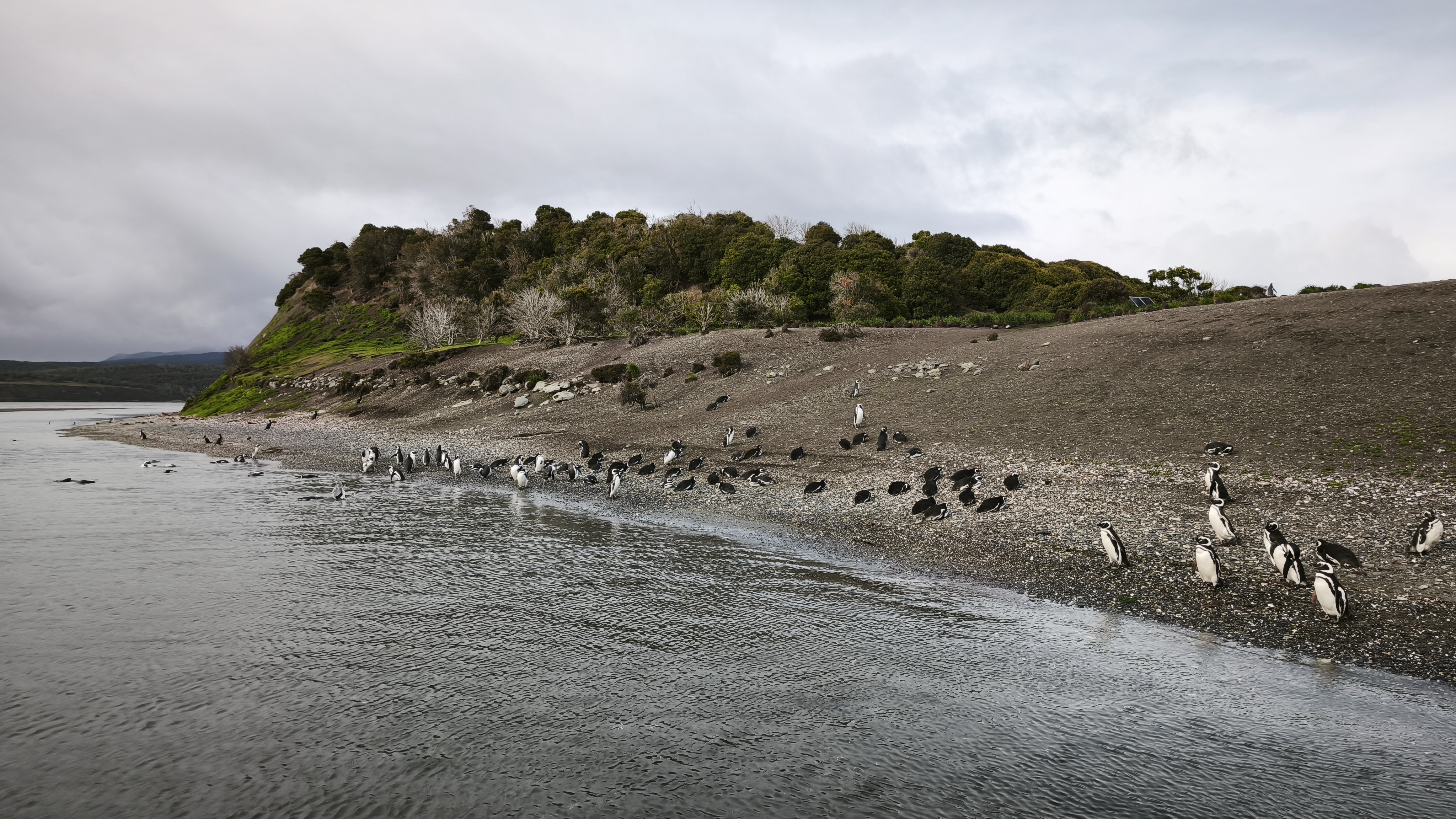 Viaggio in Patagonia