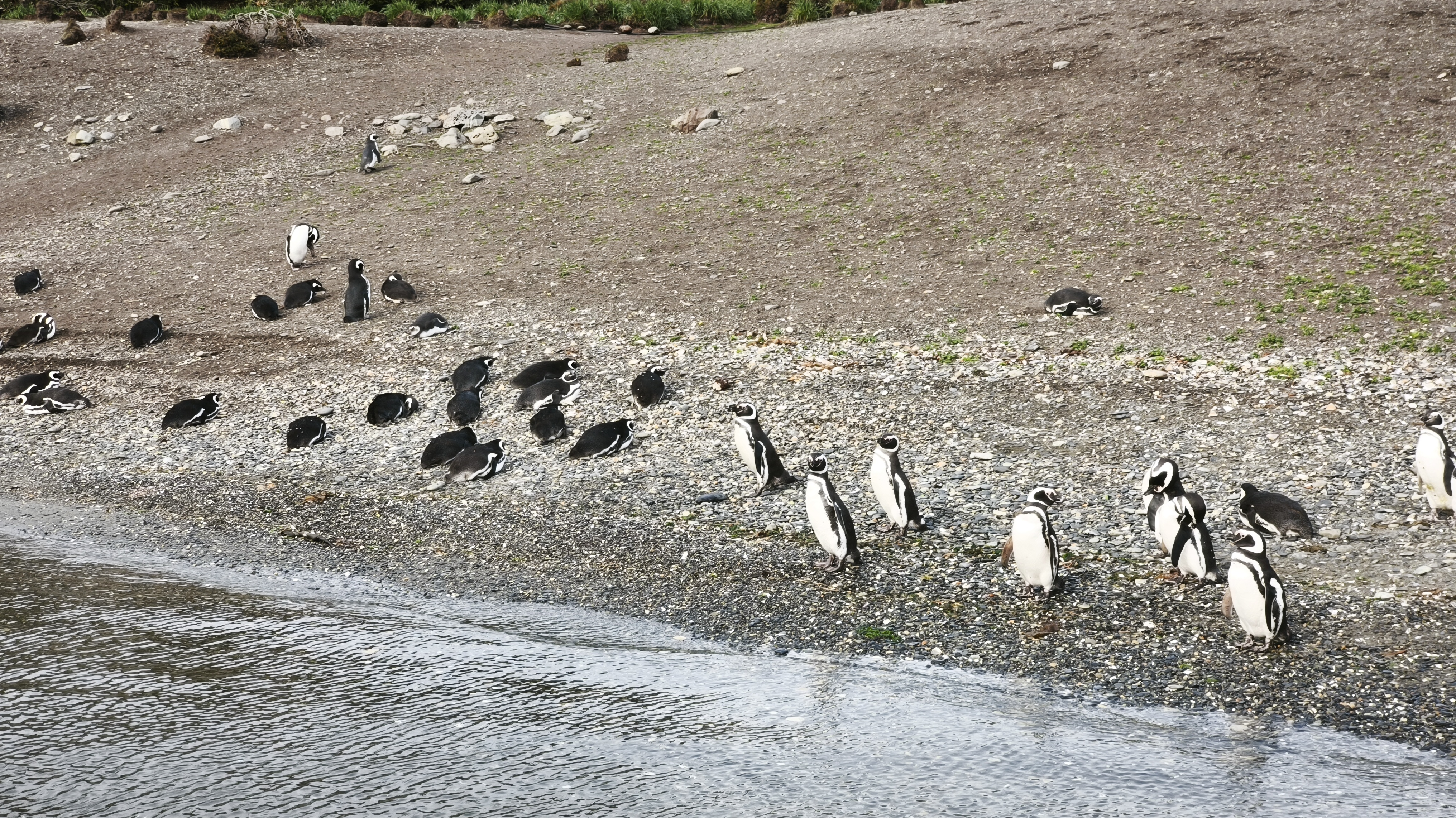 Viaggio in Patagonia