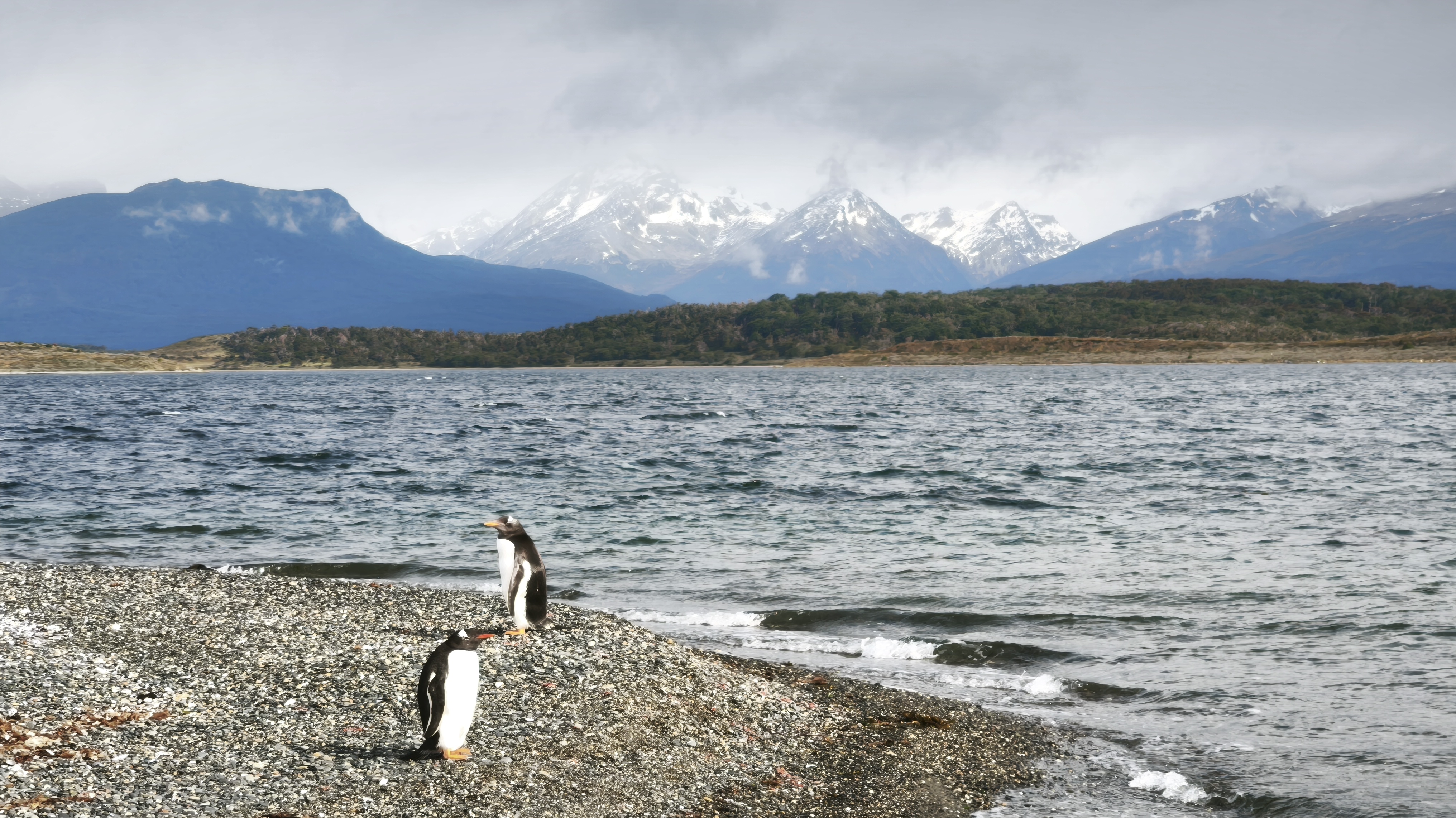 Viaggio in Patagonia
