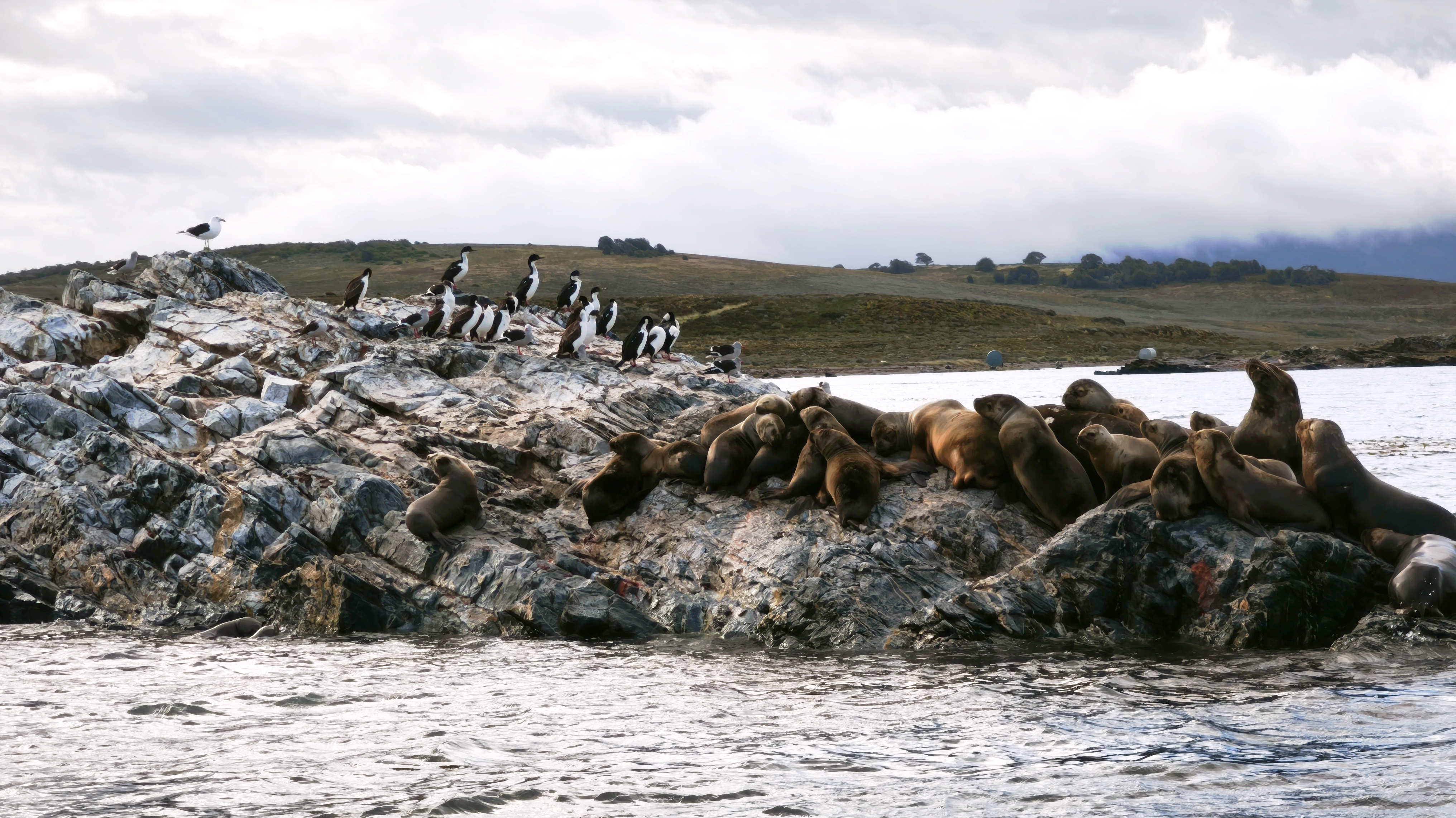 Viaggio in Patagonia