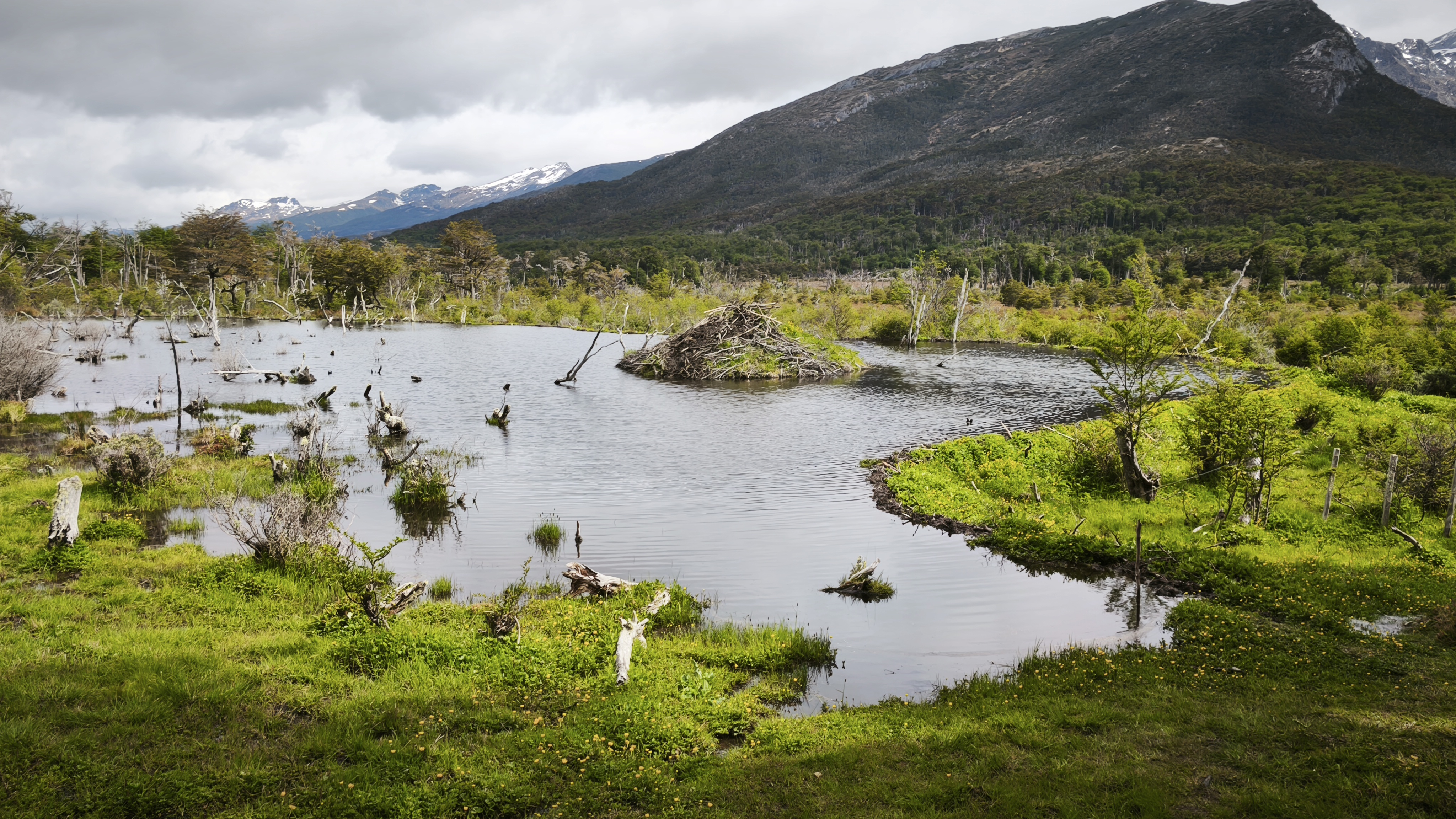 Viaggio in Patagonia