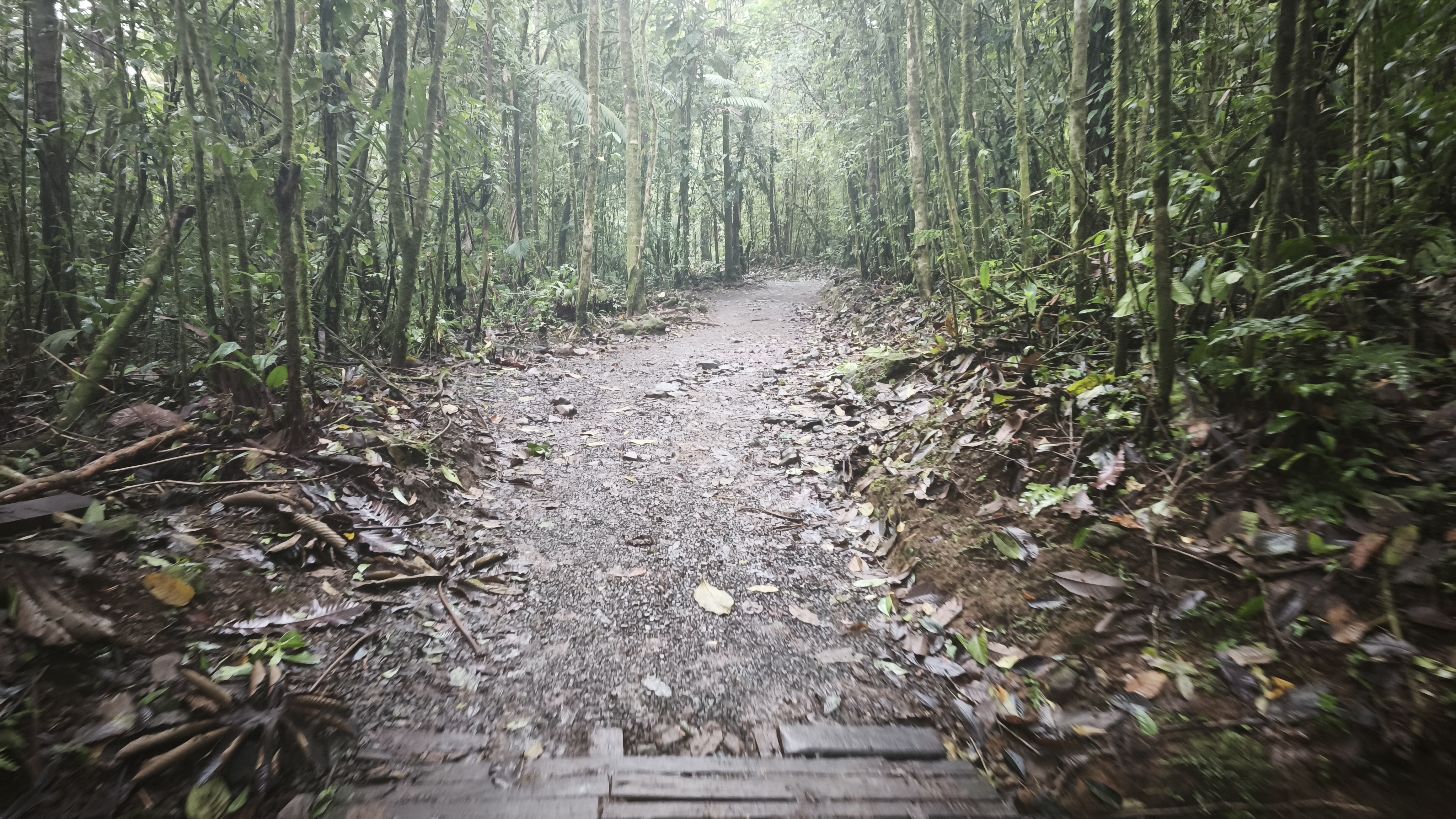 Viaggio a Panama e Costa Rica