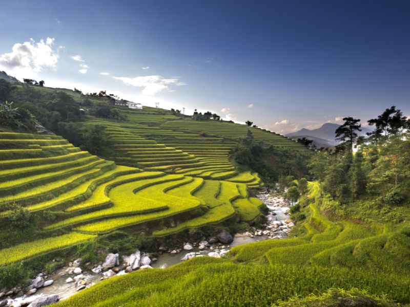<p>Viaggio in Vietnam</p>