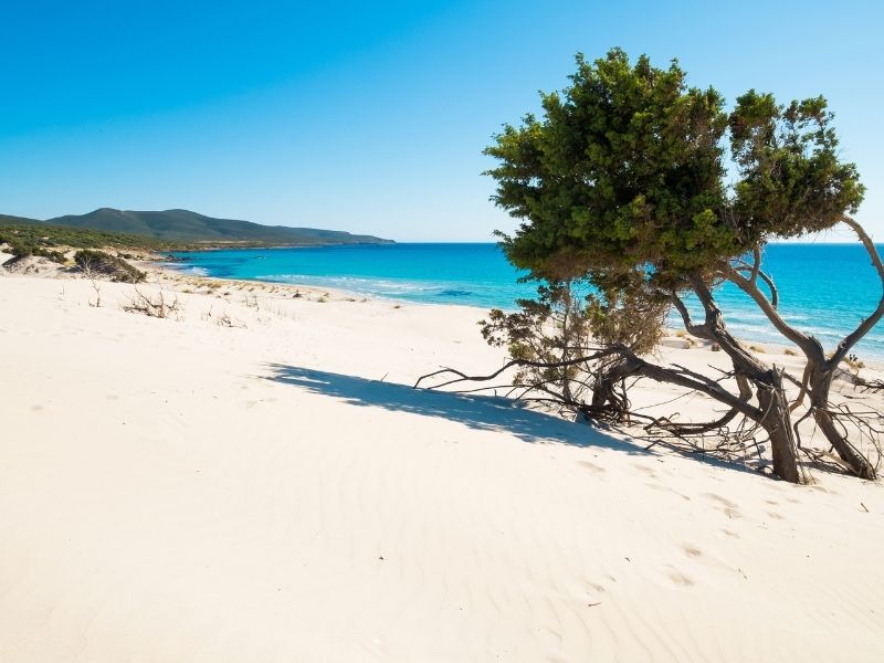 Viaggio in Sardegna con World Face - Il grande giro completo dell'isola