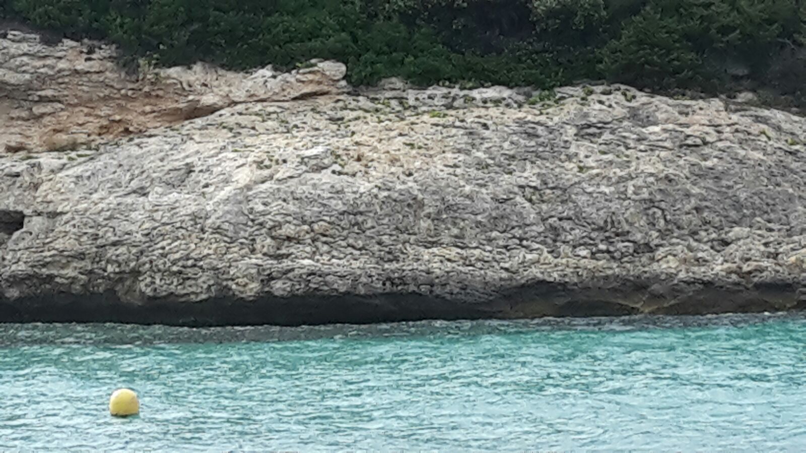 Viaggio in Corsica con World Face - il giro completo dell isola