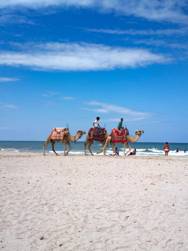 Viaggio in Tunisia Adventure: Sahara, Djerba e villaggi berberi | World Face