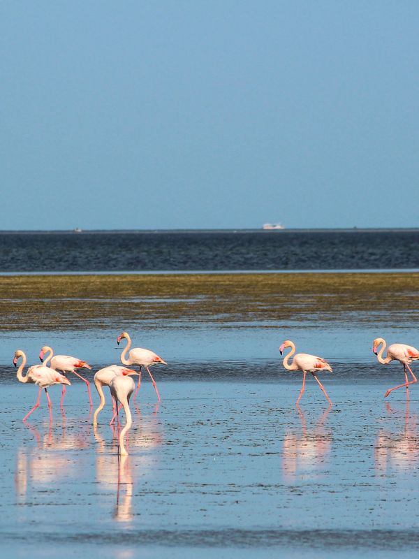 Viaggio in Tunisia Adventure: Sahara, Djerba e villaggi berberi | World Face