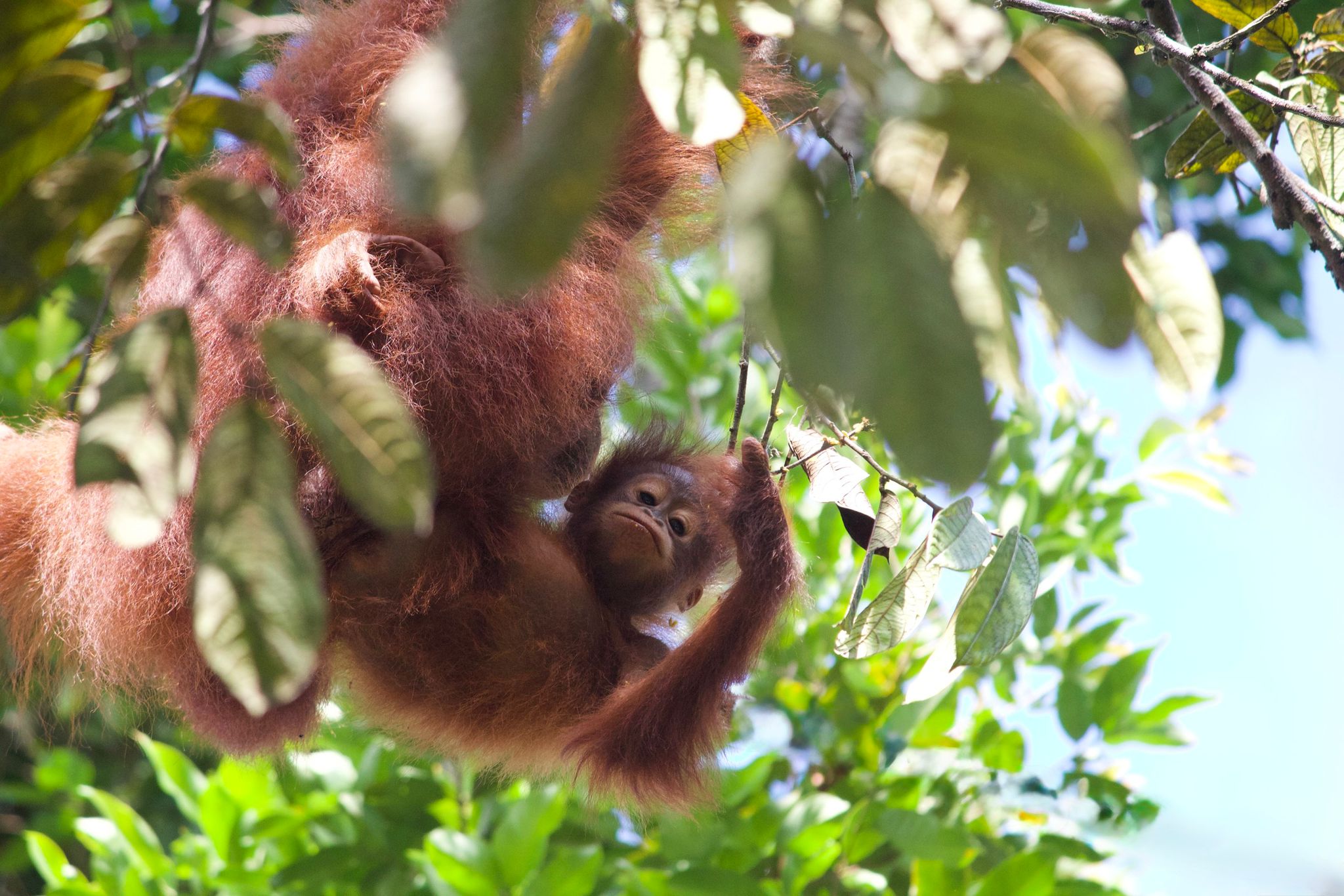 Viaggio in Malesia