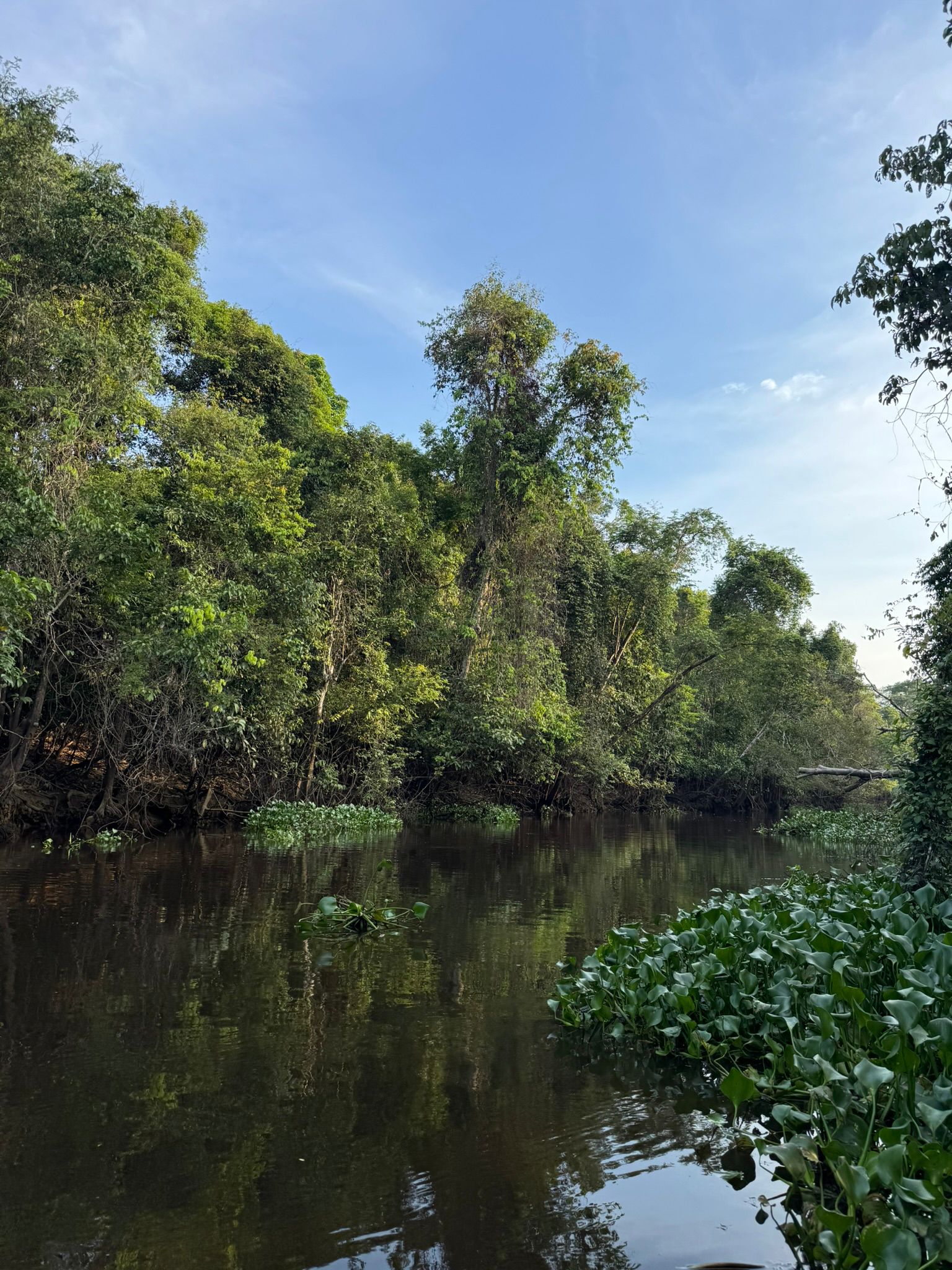 Viaggio in Malesia