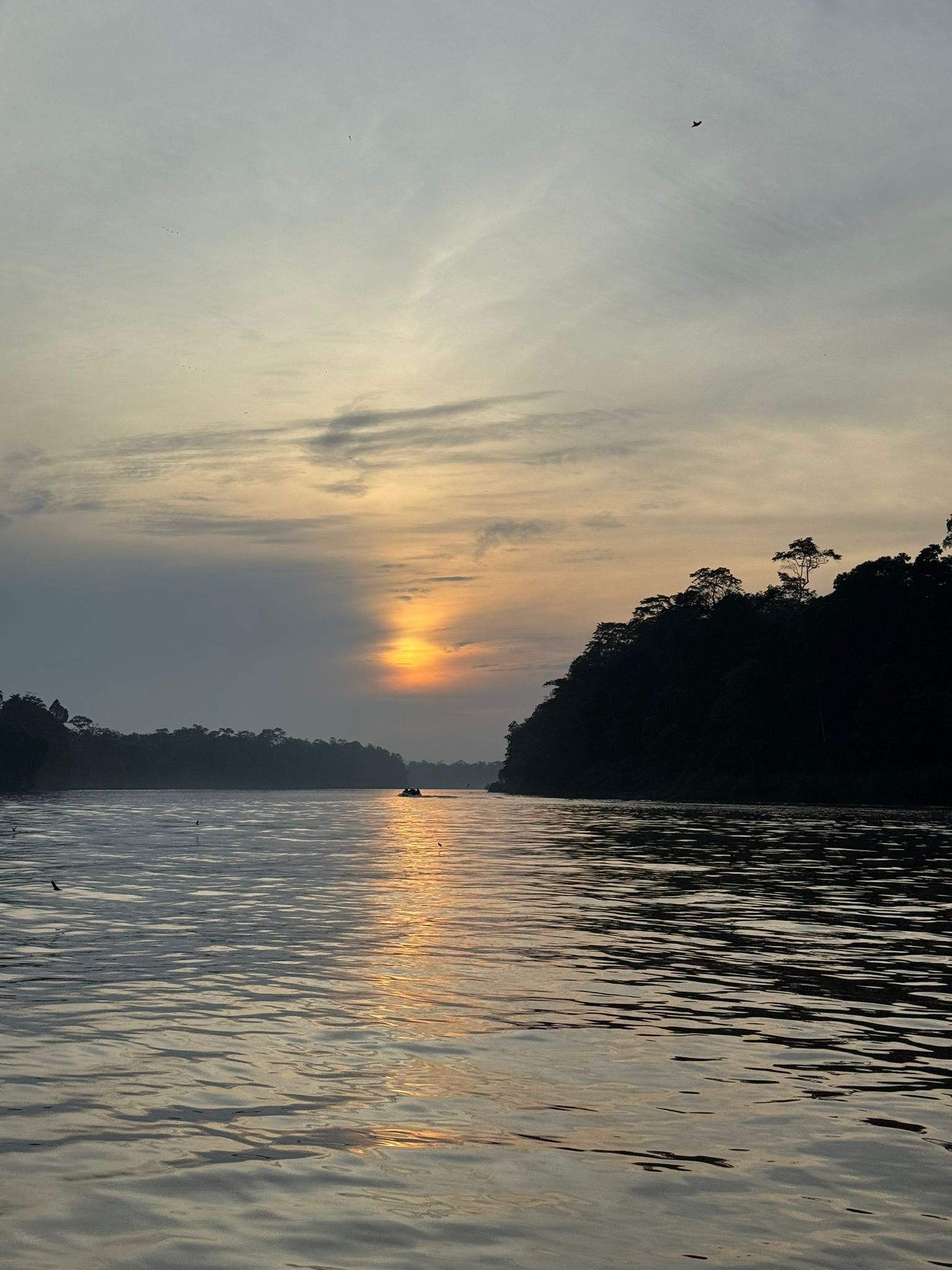 Viaggio in Malesia