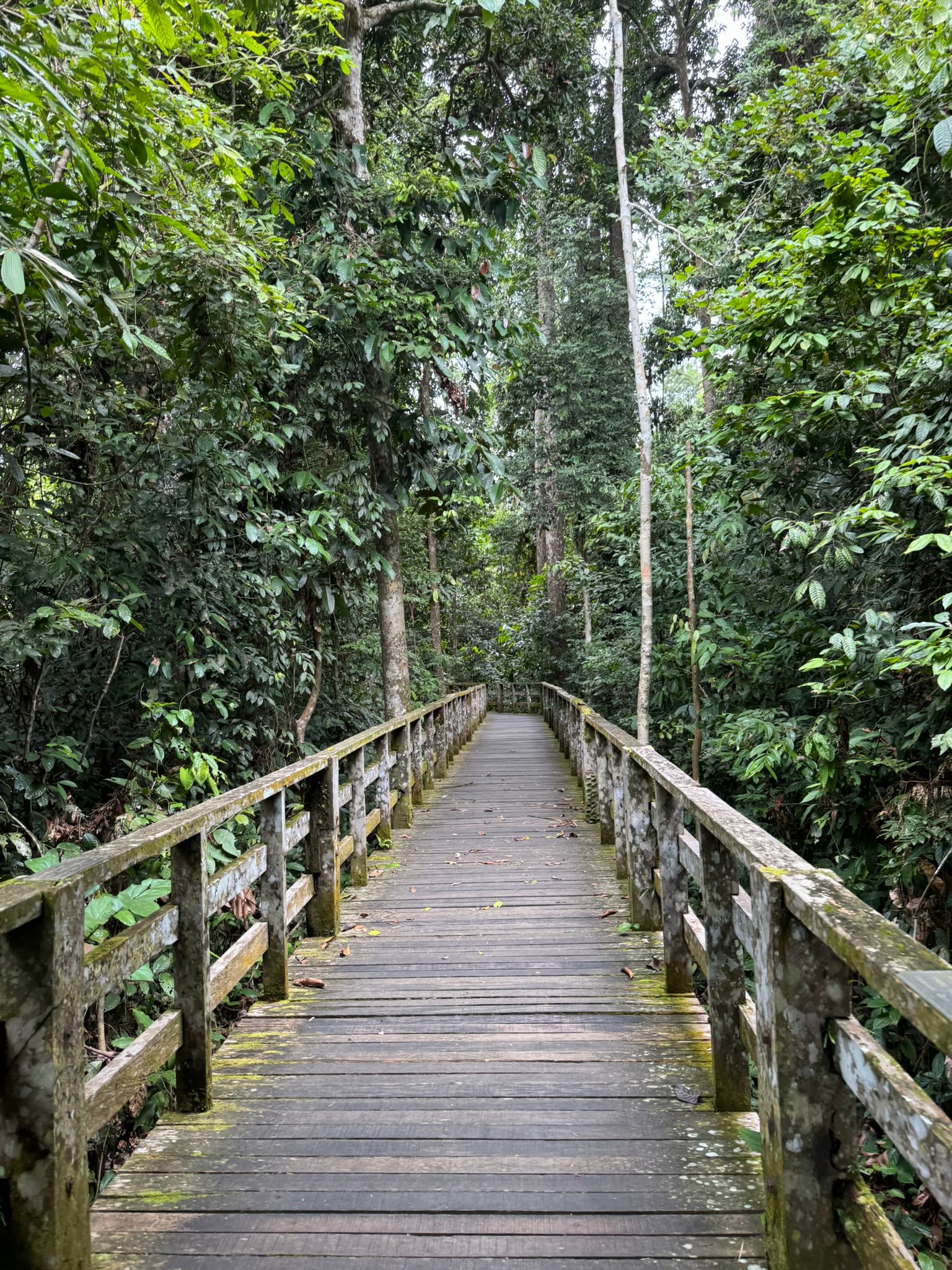 Viaggio in Malesia