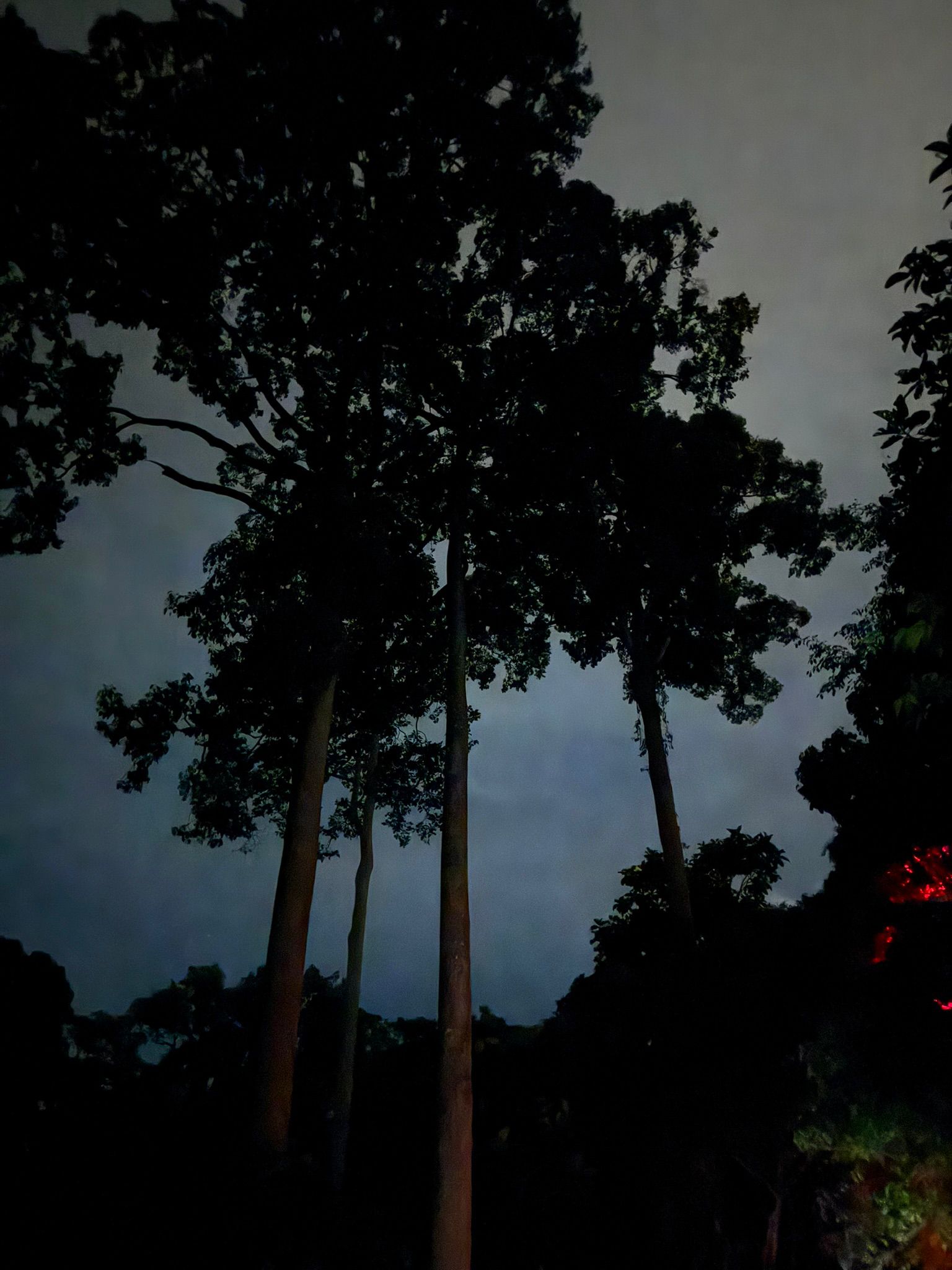 Viaggio in Malesia