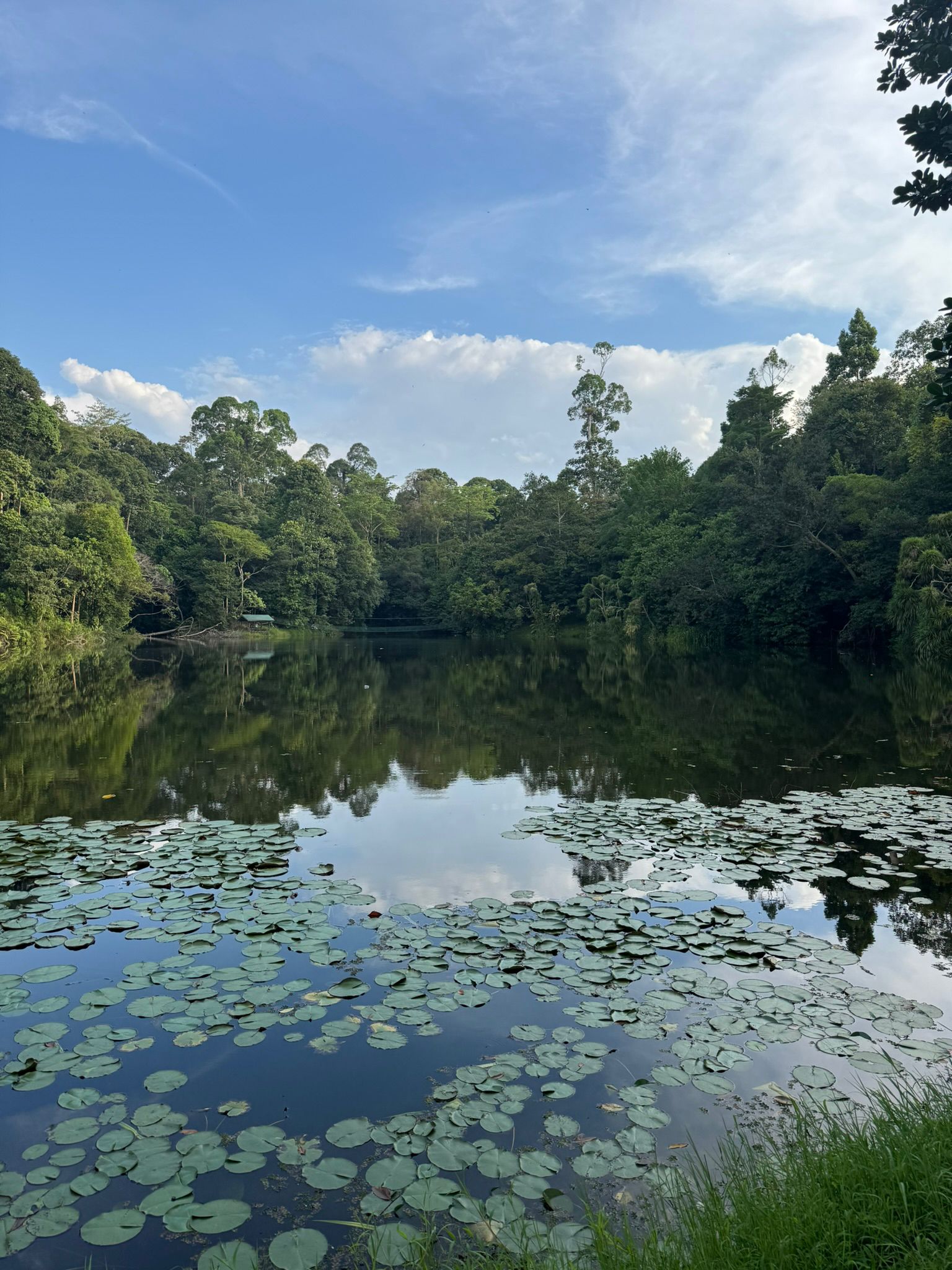 Viaggio in Malesia