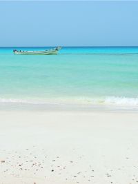 Viaggio a Socotra