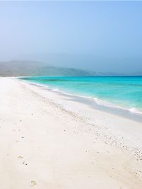 Viaggio a Socotra