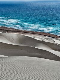 Viaggio a Socotra