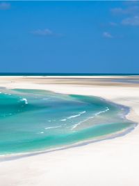 Viaggio a Socotra