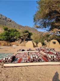 Viaggio a Socotra