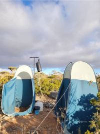 Viaggio a Socotra