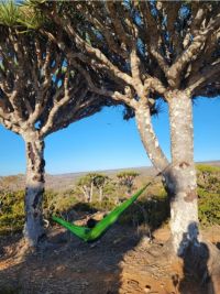 Viaggio a Socotra