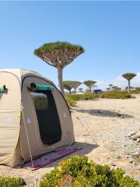 Viaggio a Socotra