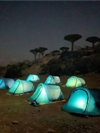 Viaggio a Socotra