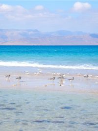 Viaggio a Socotra