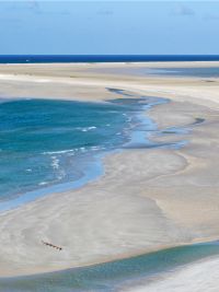 Viaggio a Socotra