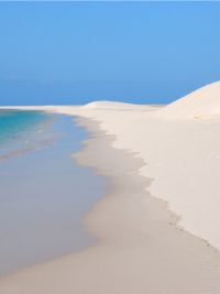 Viaggio a Socotra