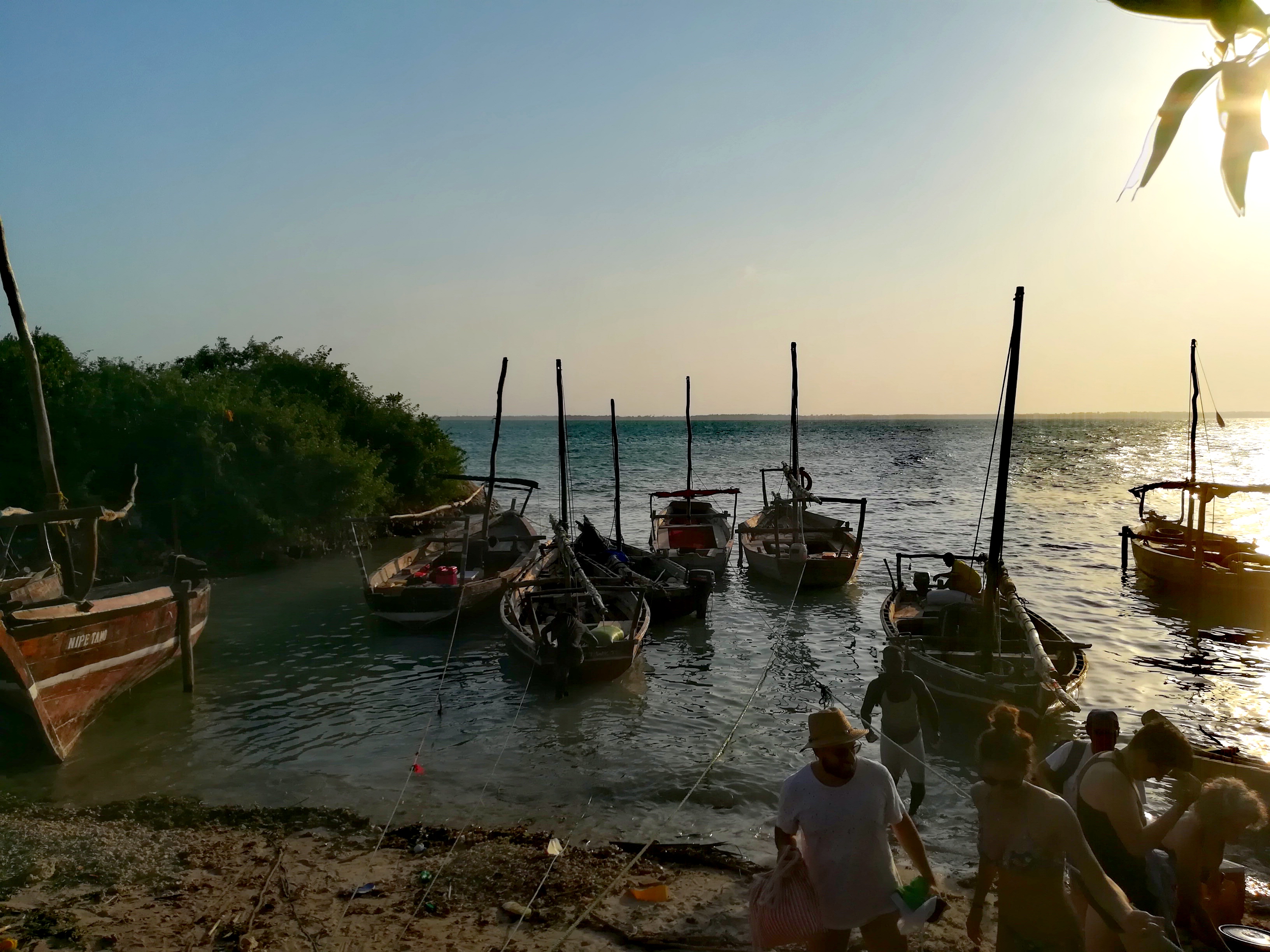 Viaggio in Tanzania