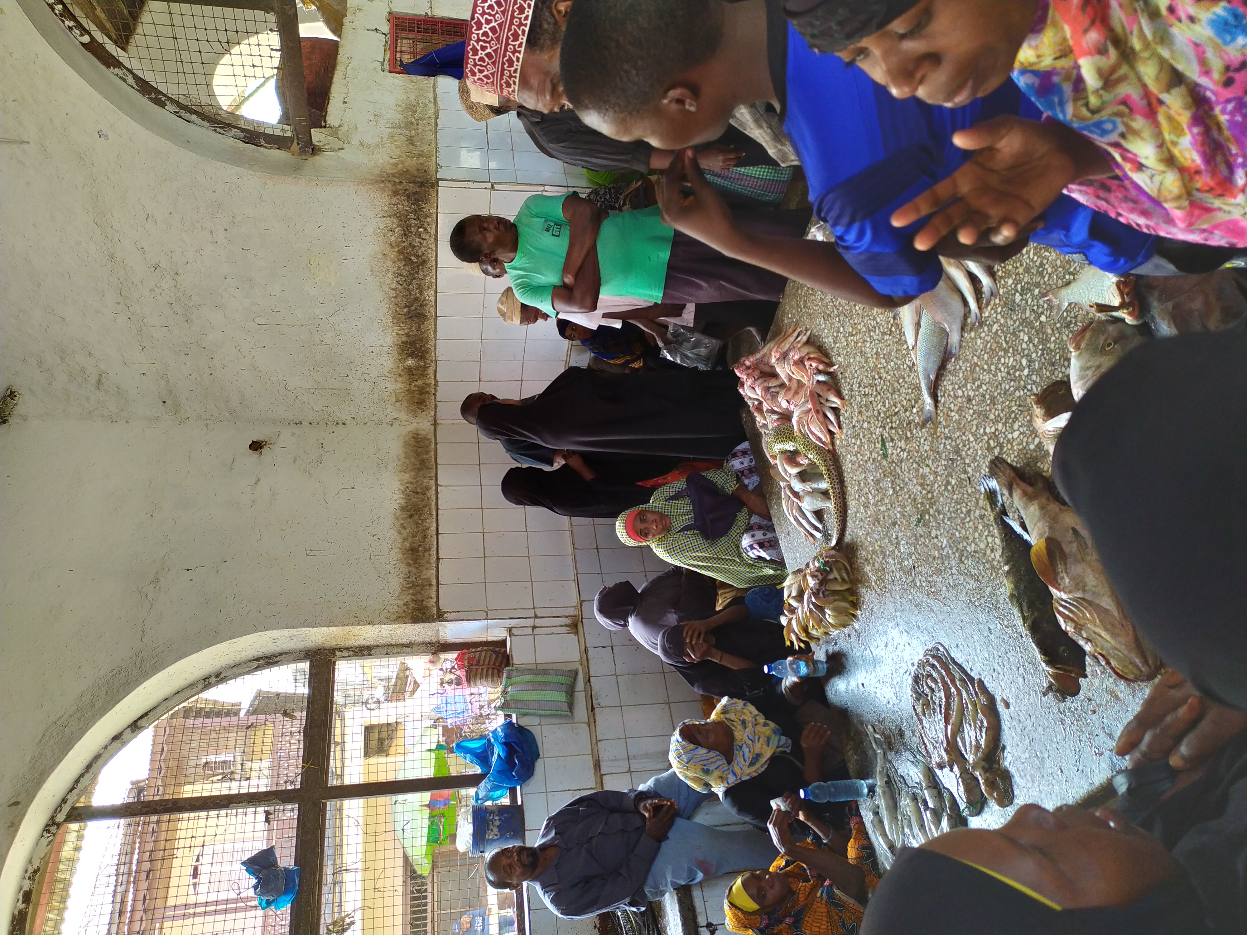 Viaggio in Tanzania