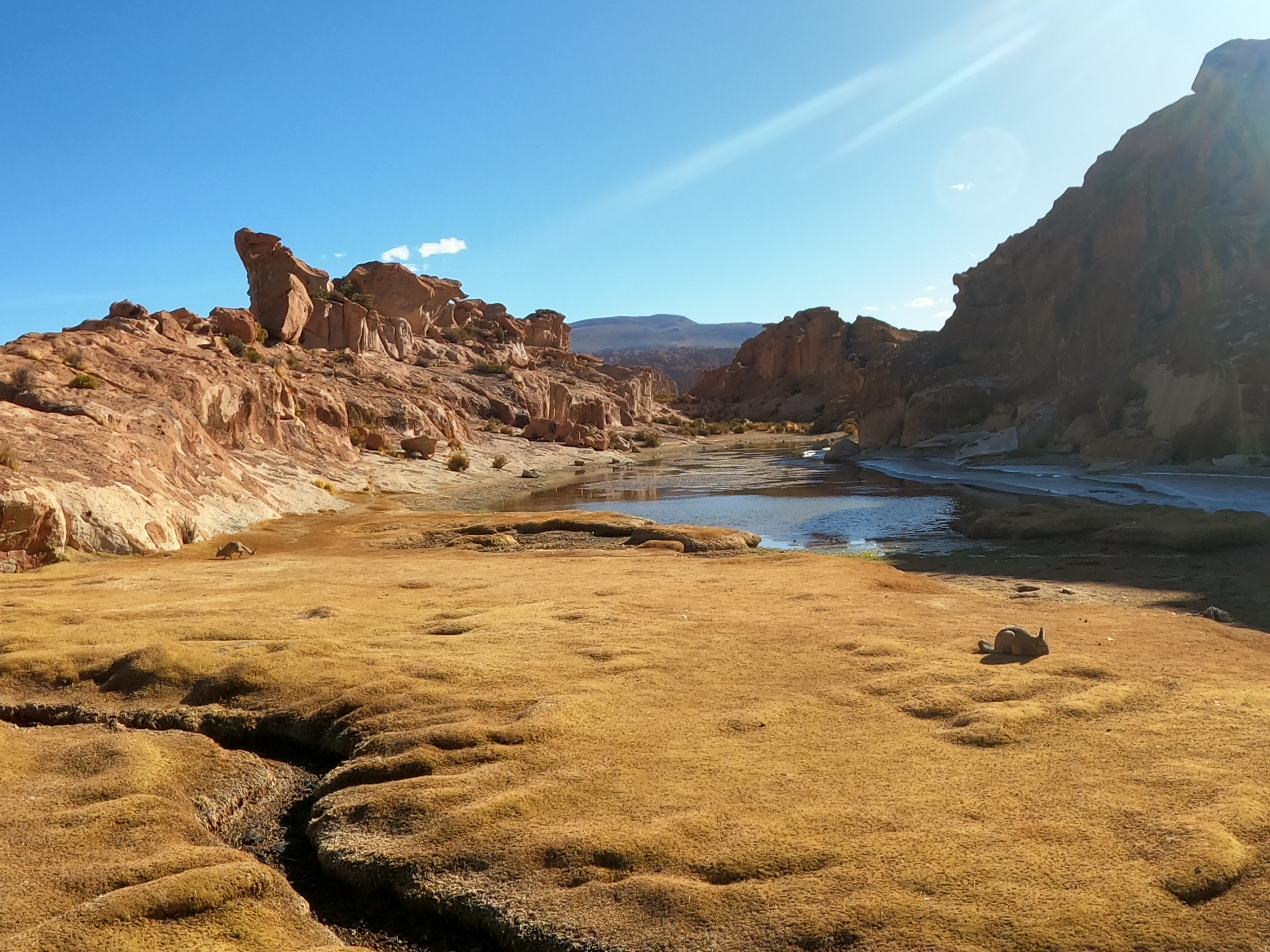 Viaggio in Bolivia