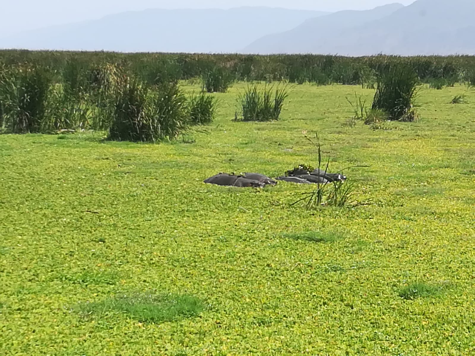 Viaggio in Tanzania